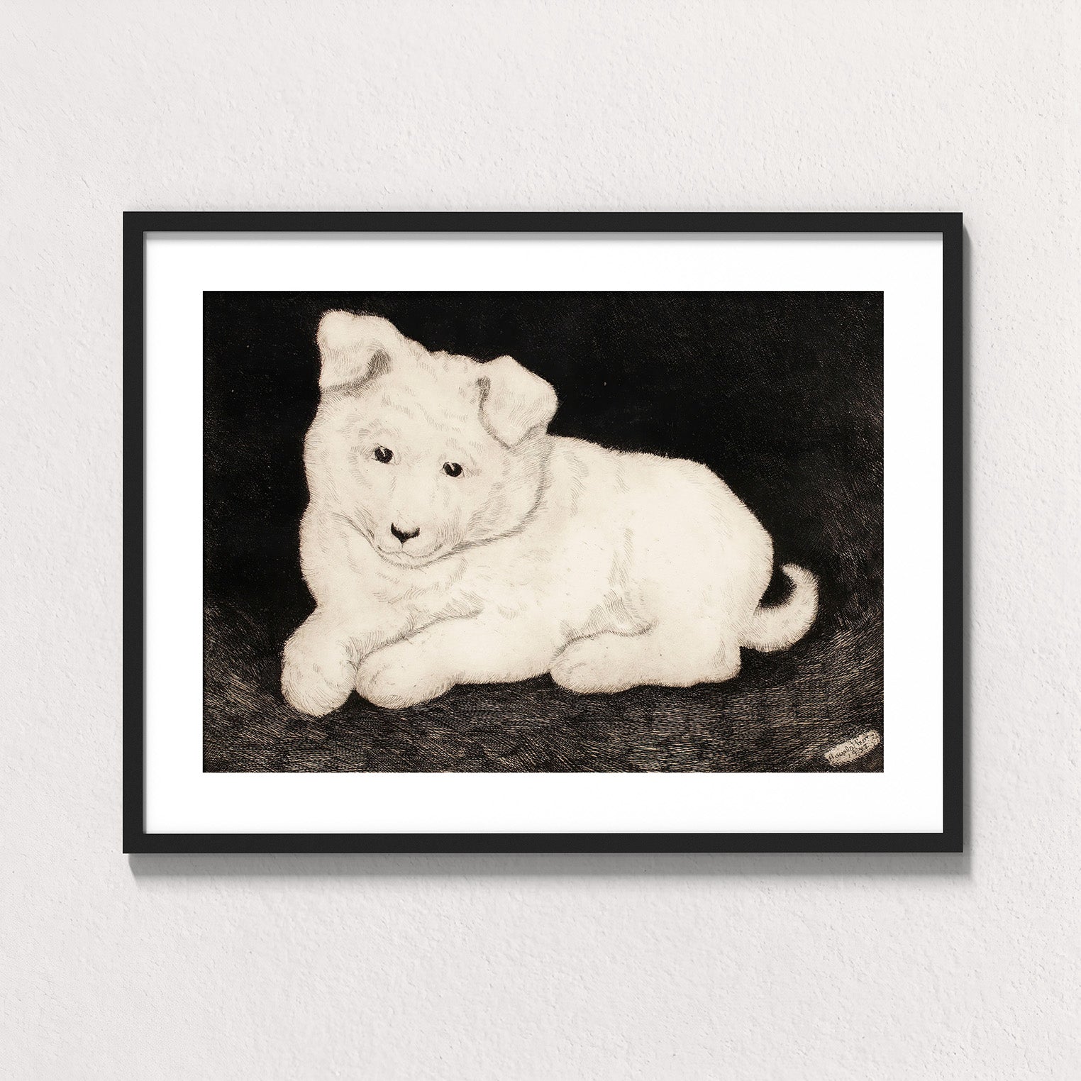 Snow: Companion Study