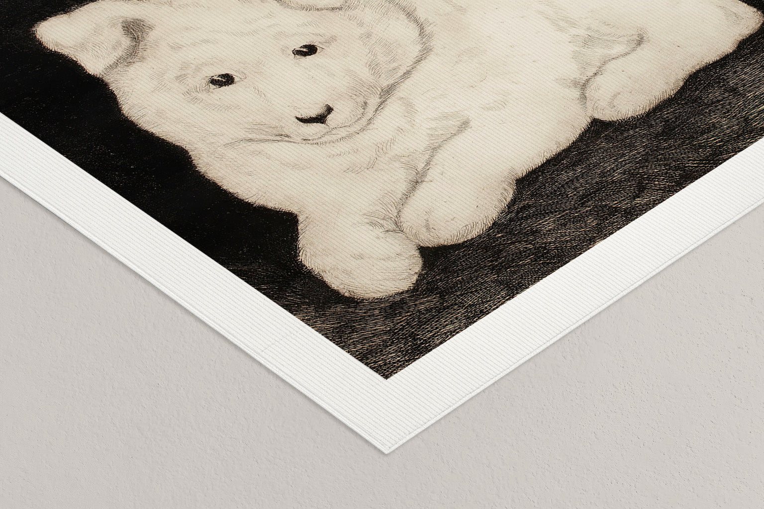 Snow: Companion Study