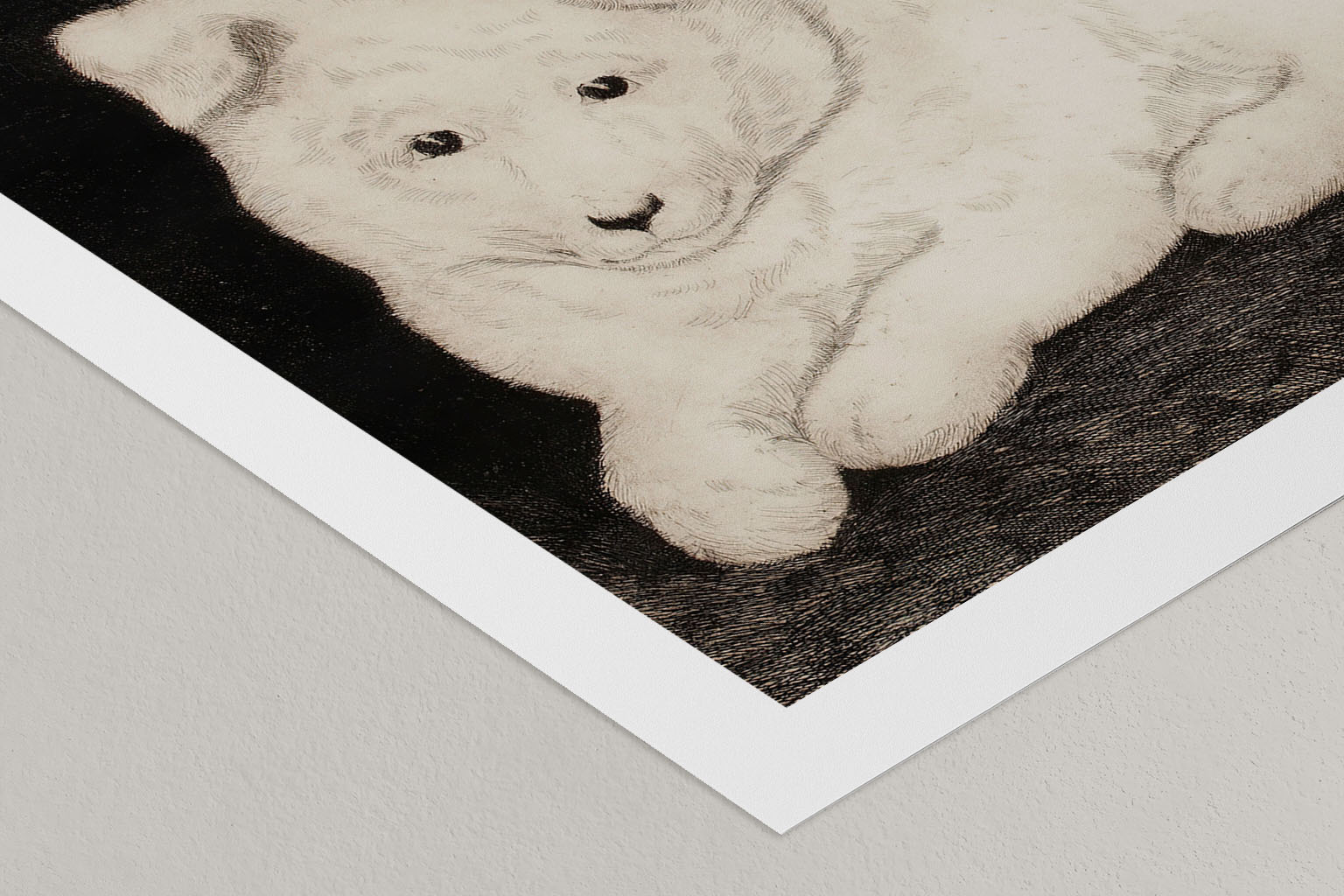 Snow: Companion Study