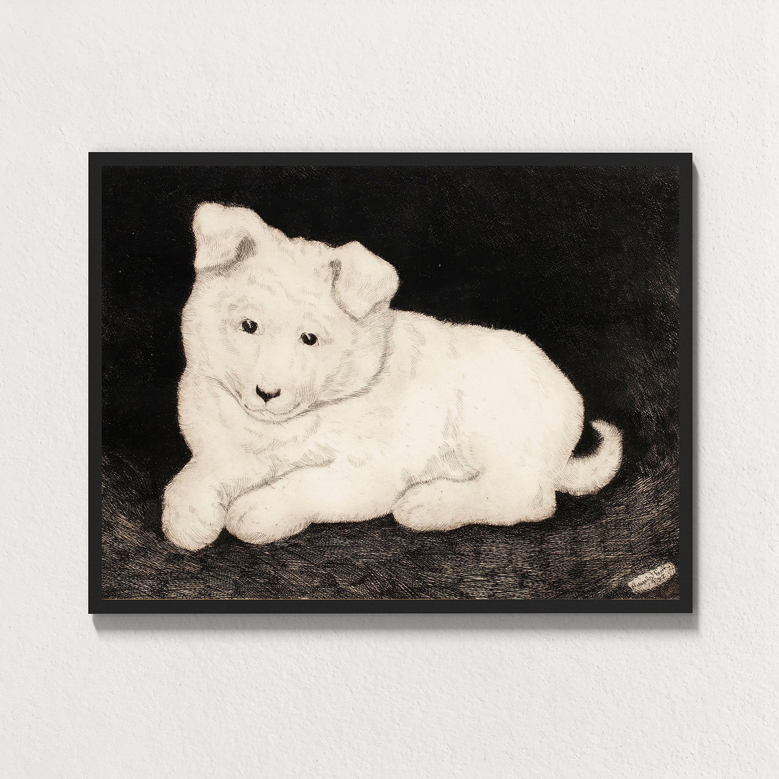 Snow: Companion Study
