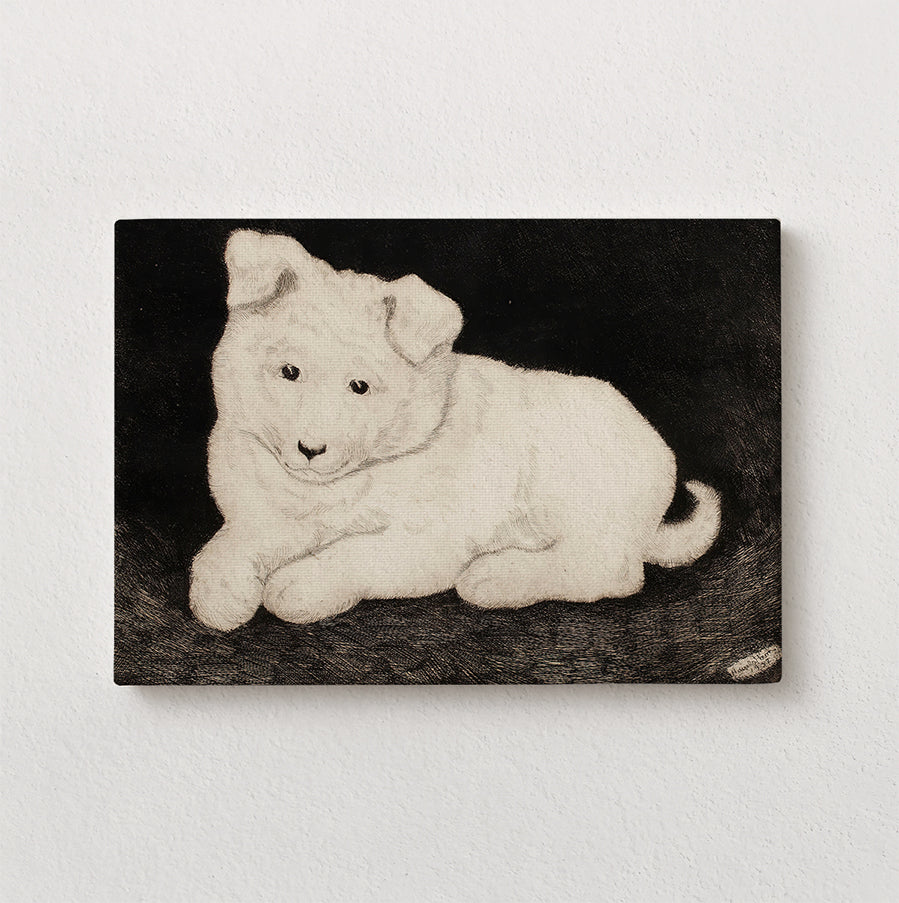 Snow: Companion Study