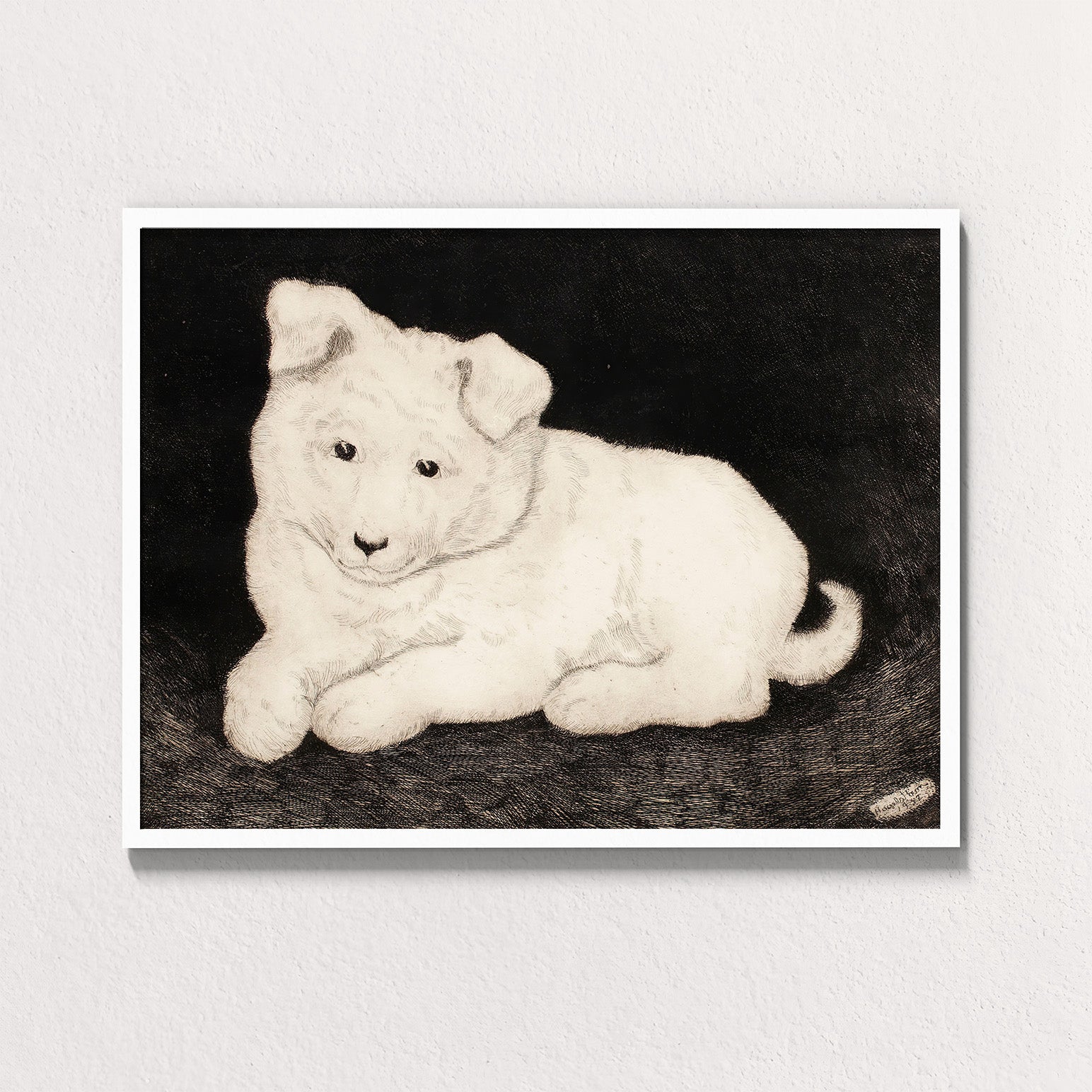 Snow: Companion Study