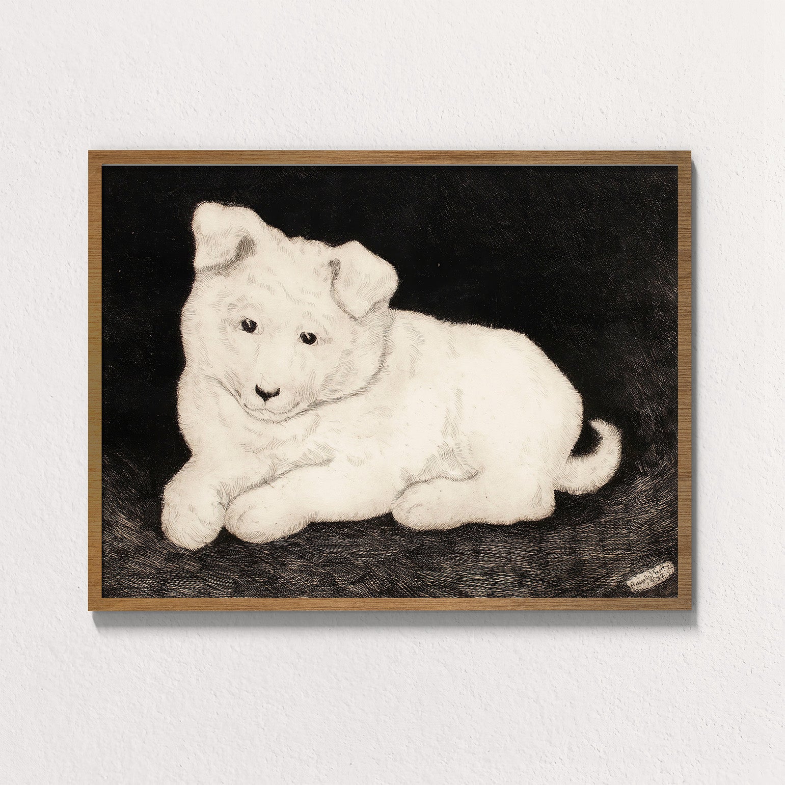 Snow: Companion Study