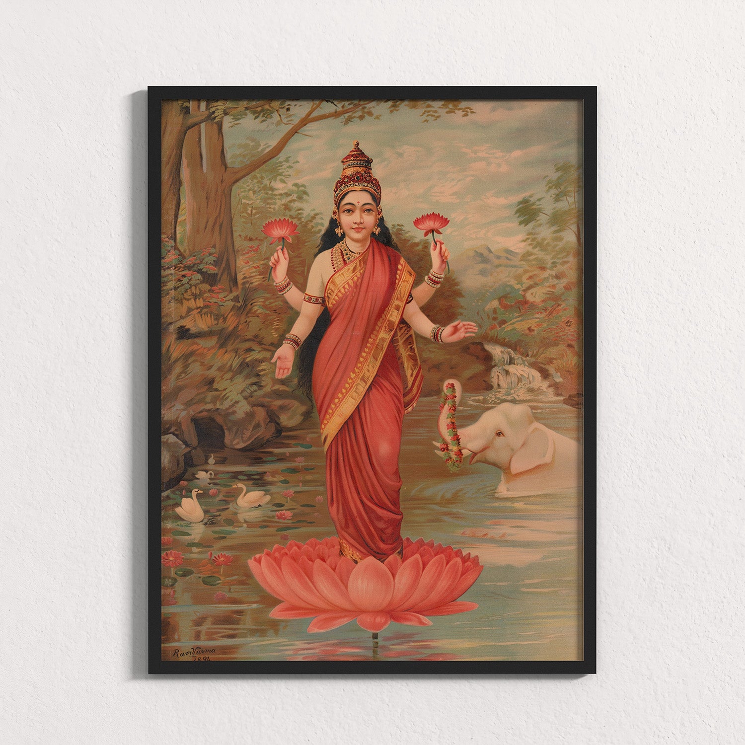 Fuchsia: Lakshmi