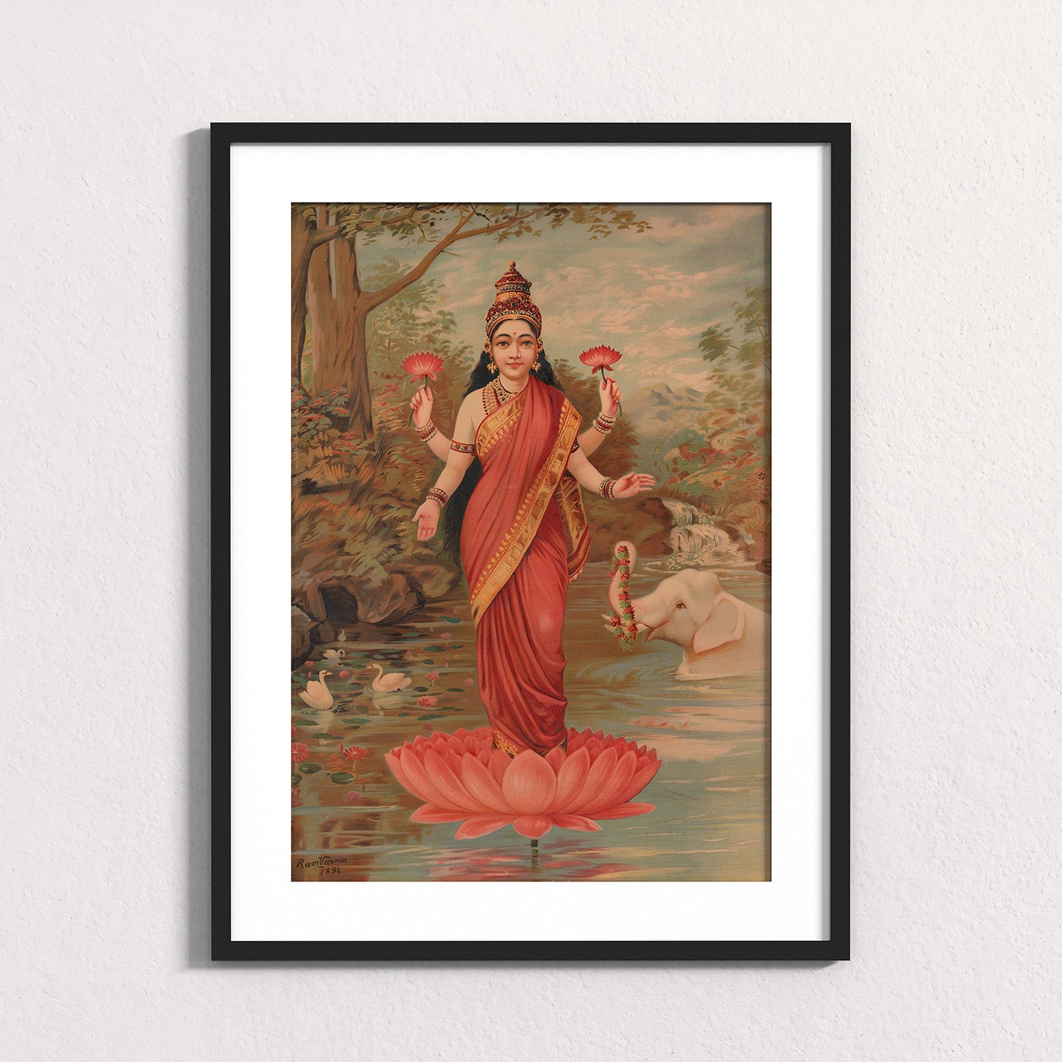 Fuchsia: Lakshmi