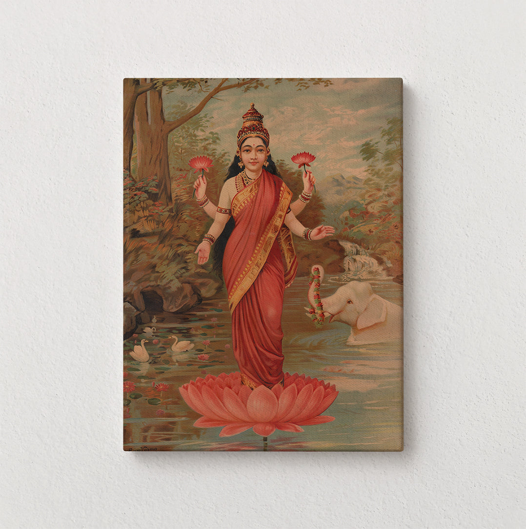 Fuchsia: Lakshmi