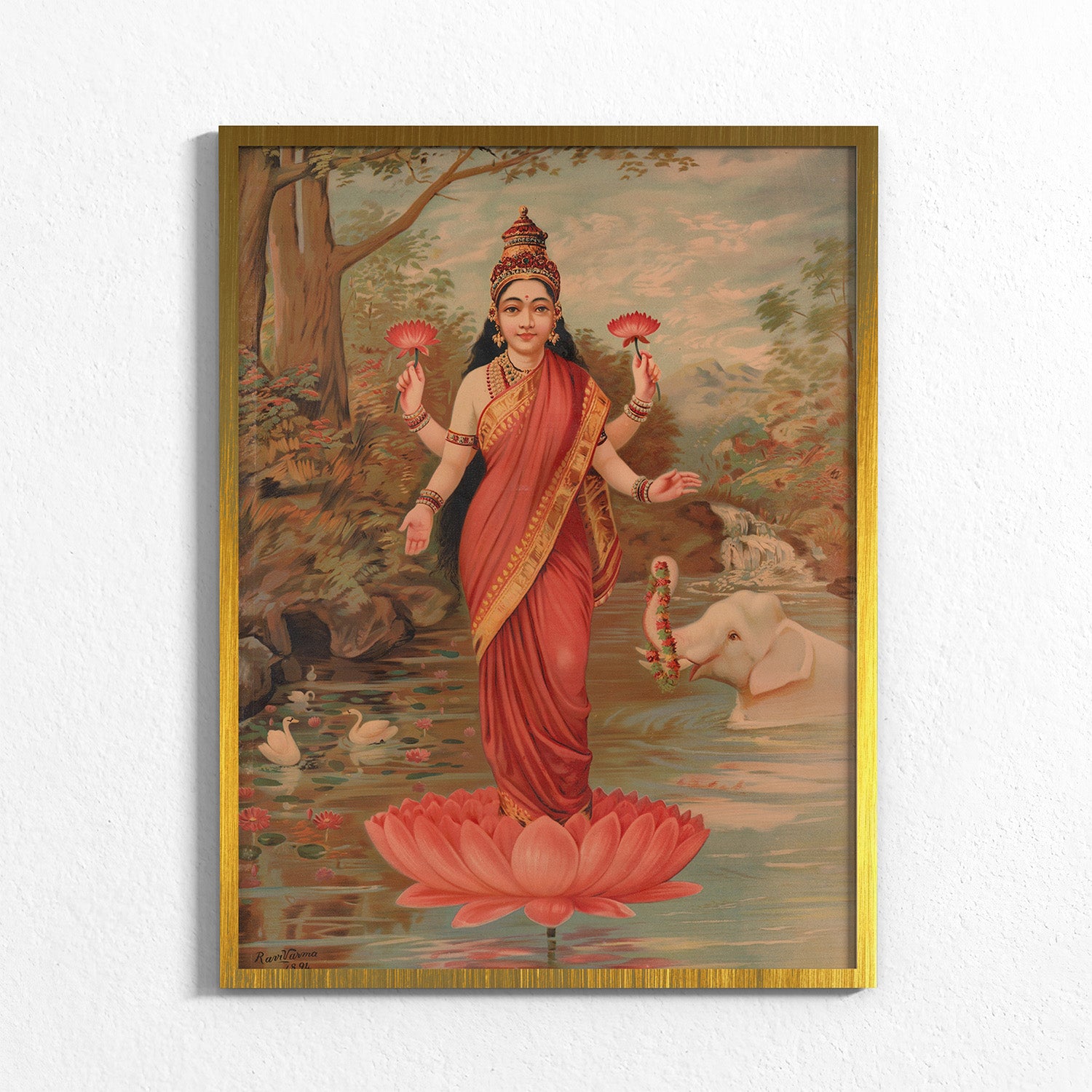 Fuchsia: Lakshmi