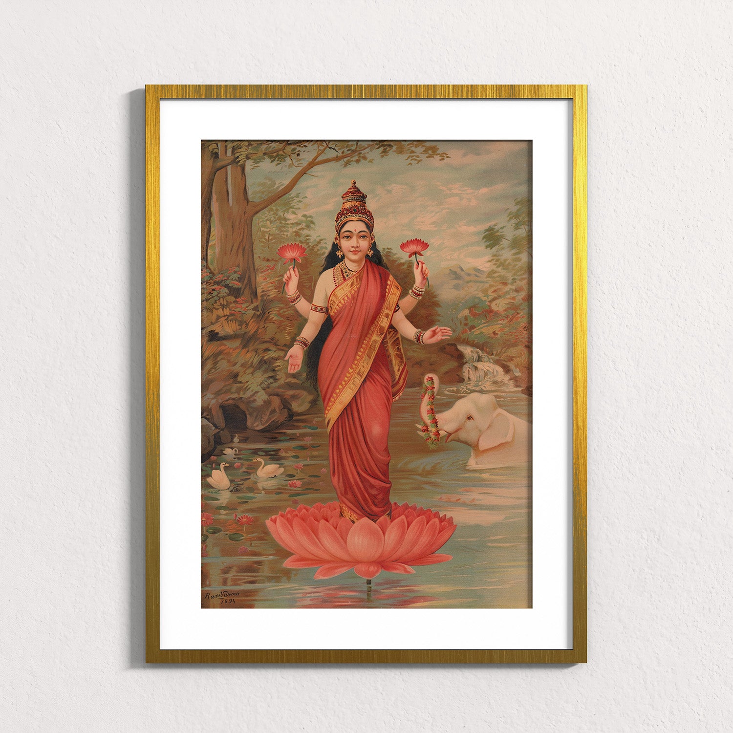 Fuchsia: Lakshmi