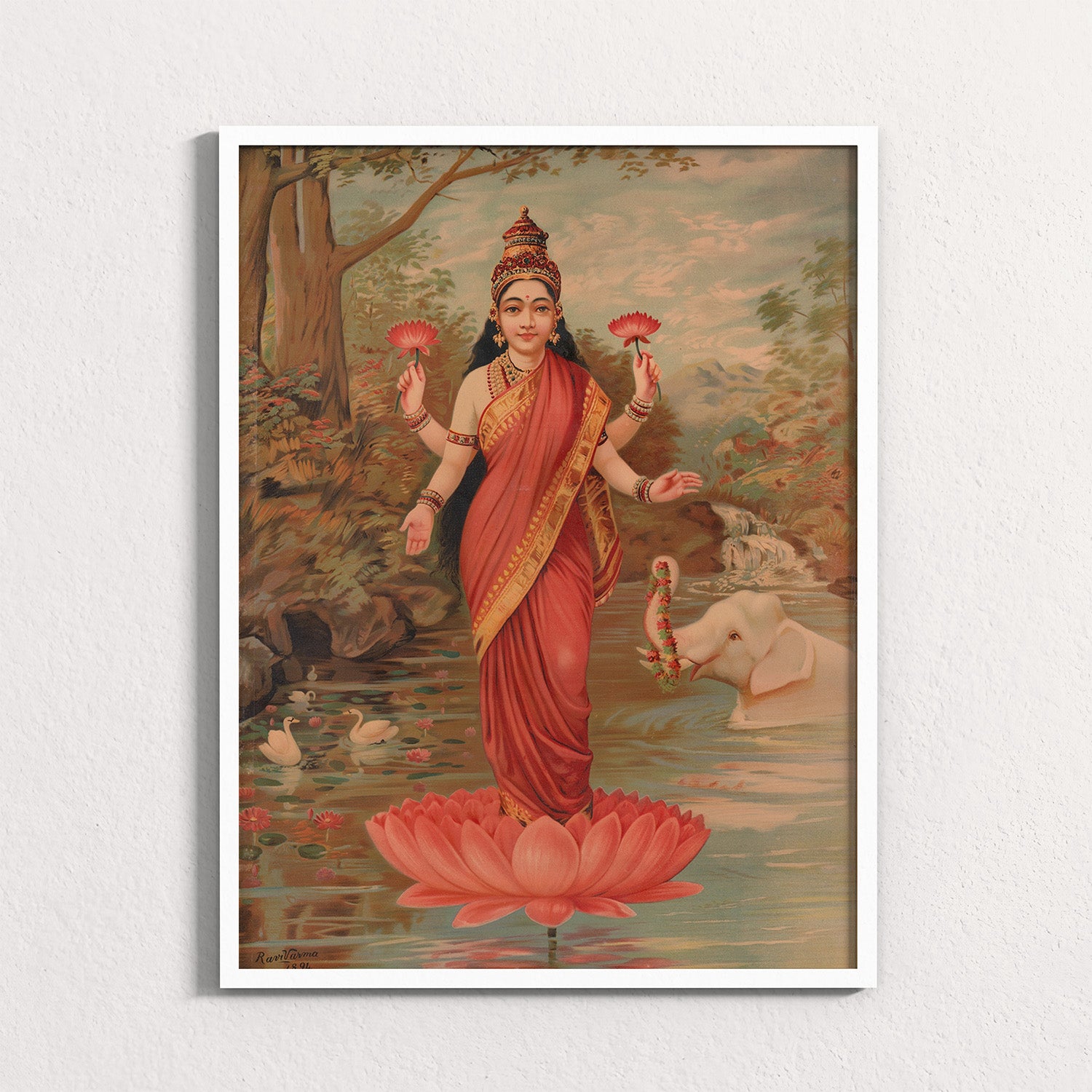 Fuchsia: Lakshmi