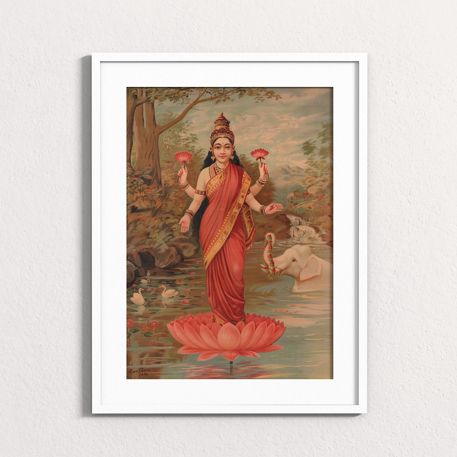Fuchsia: Lakshmi