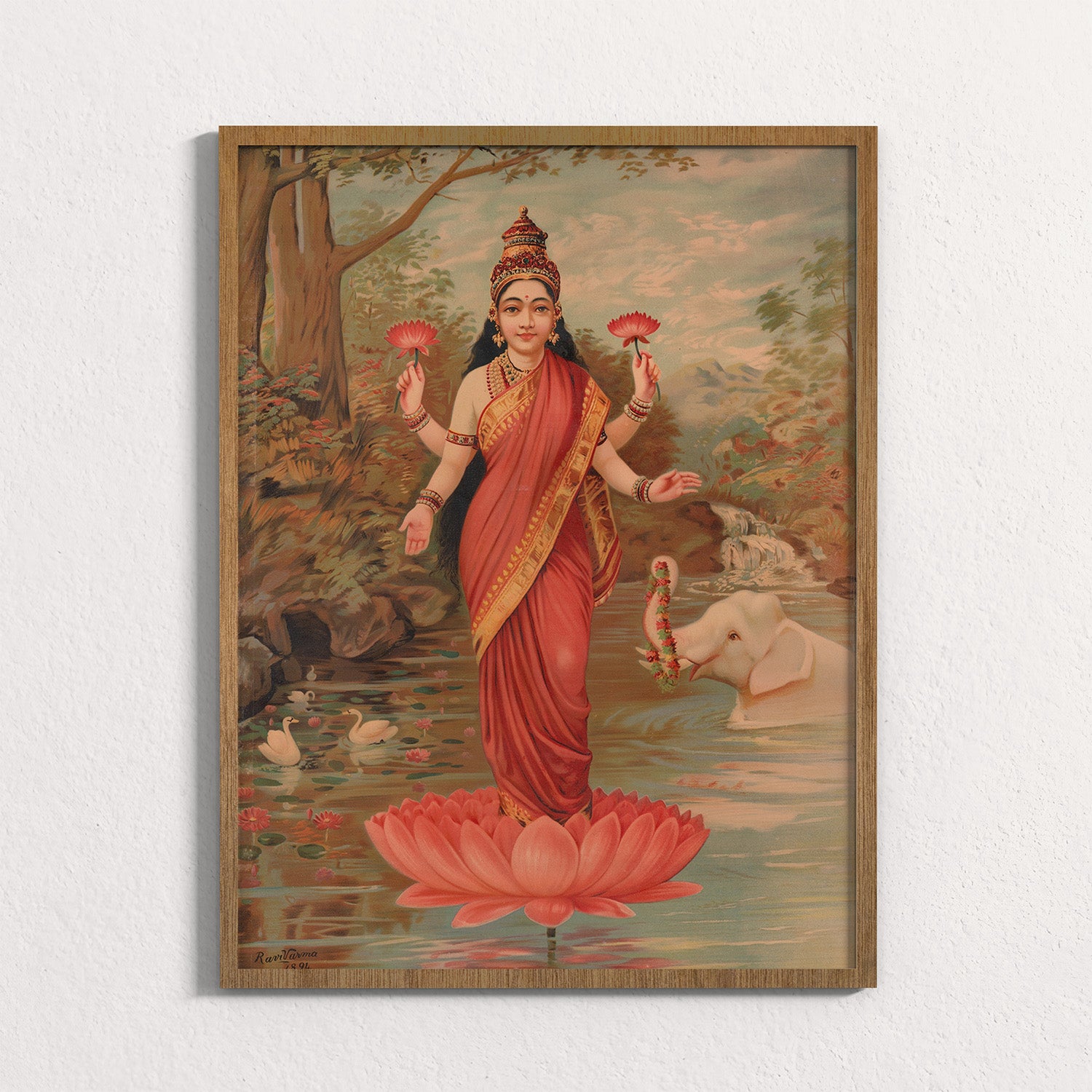 Fuchsia: Lakshmi