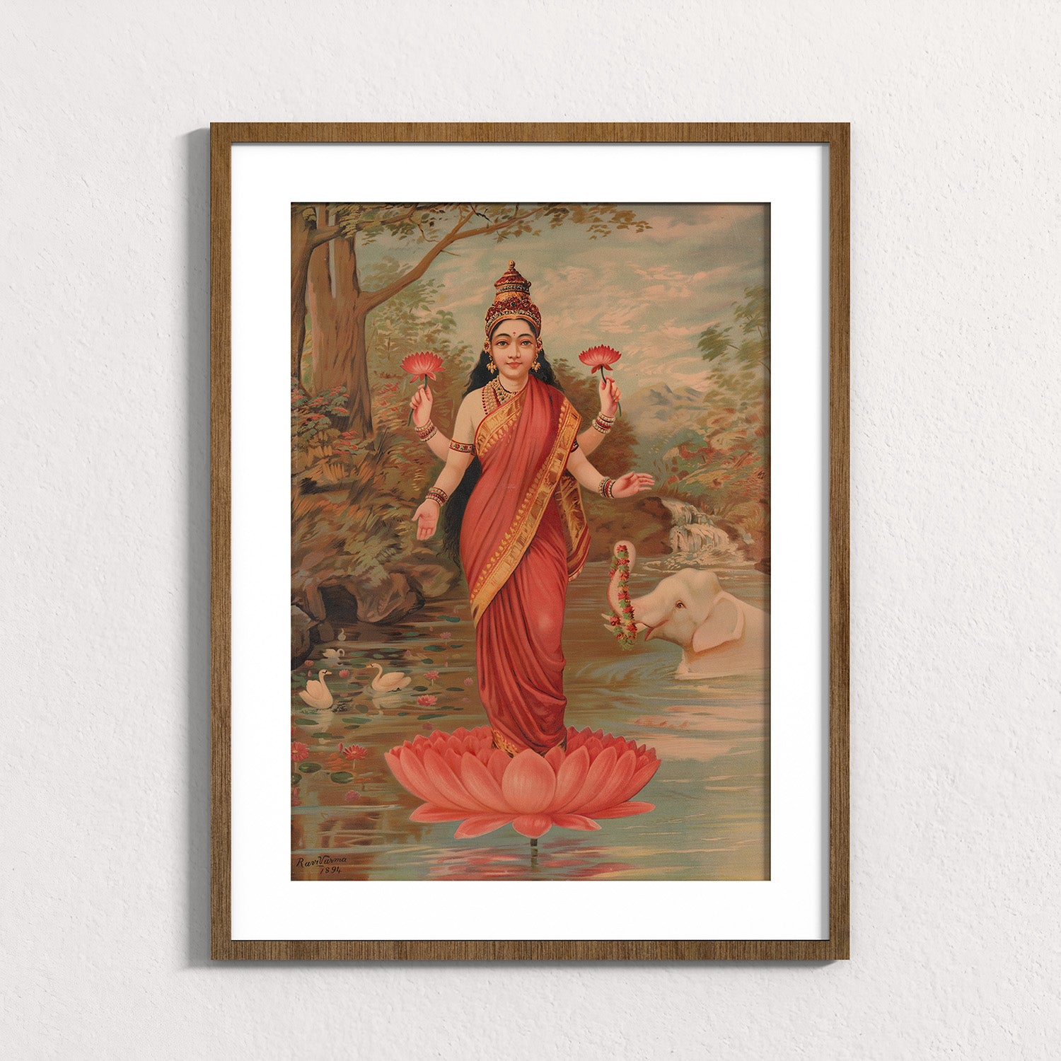 Fuchsia: Lakshmi