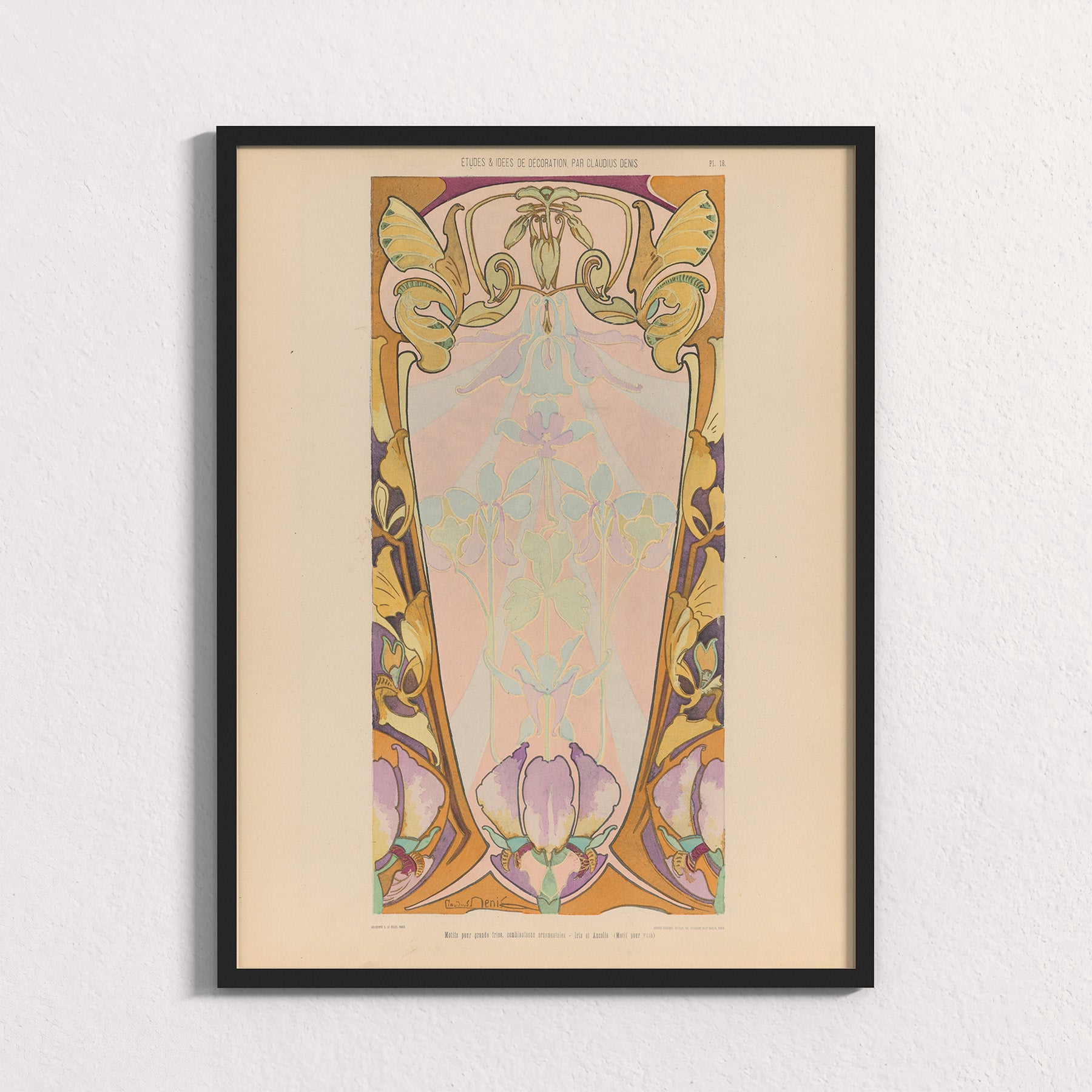 Iris Frieze