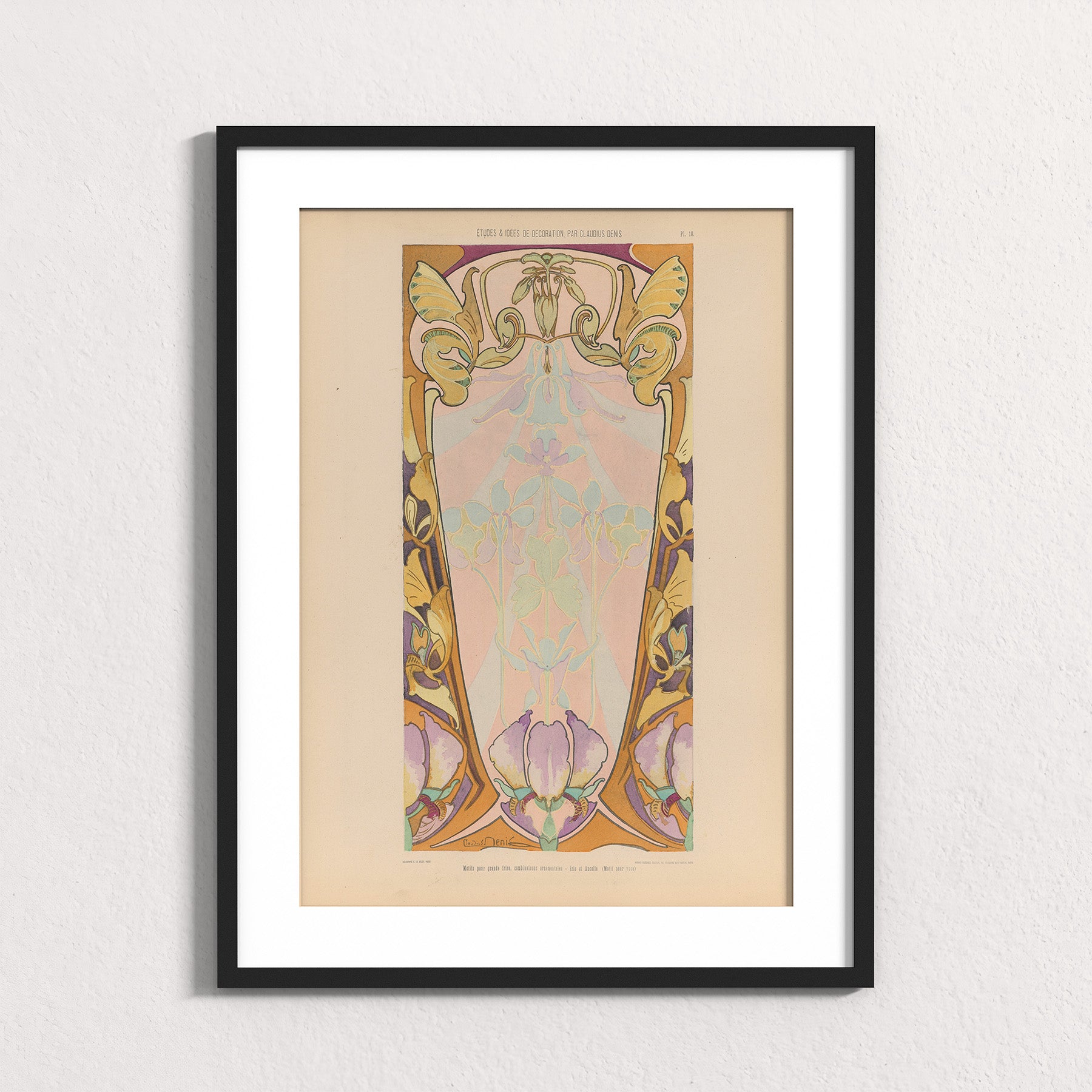 Iris Frieze