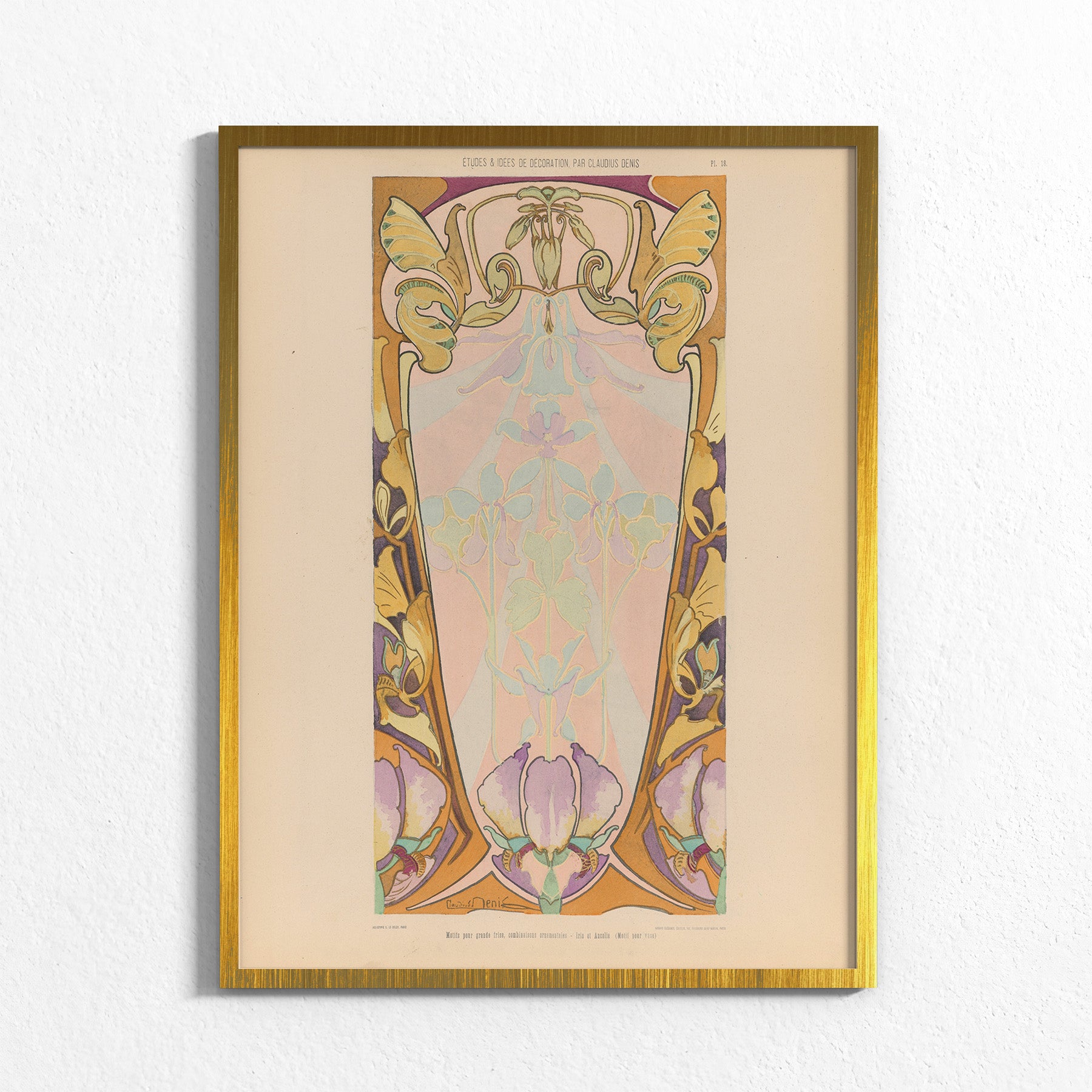 Iris Frieze