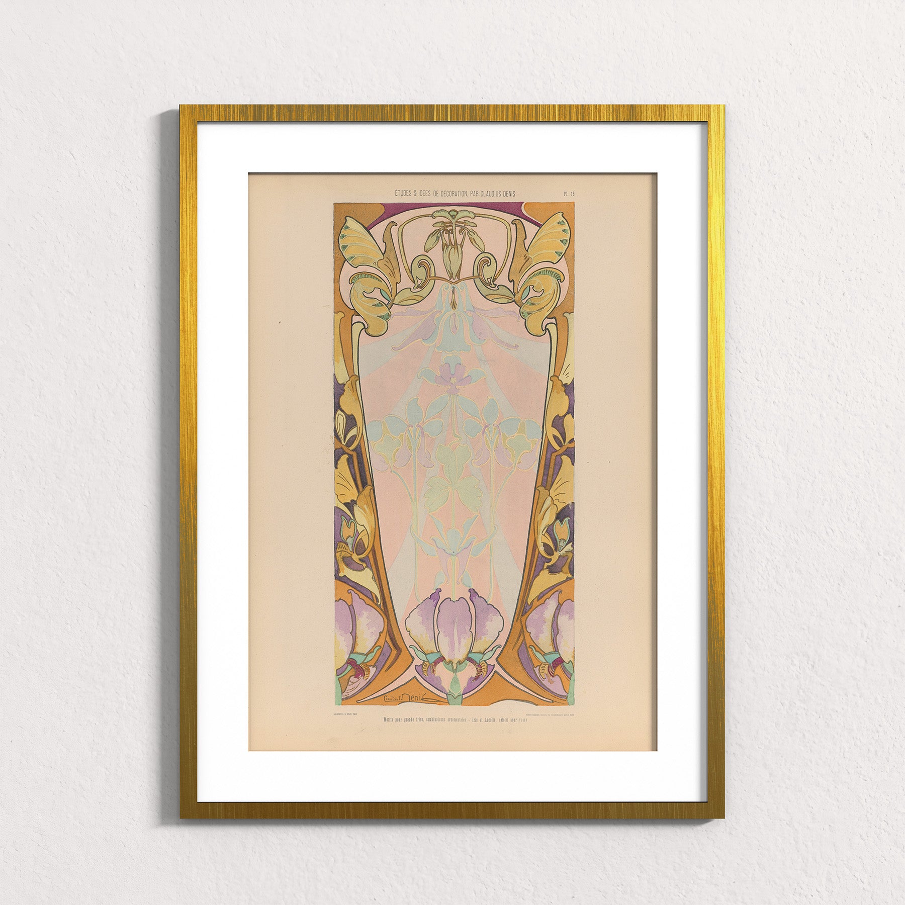 Iris Frieze