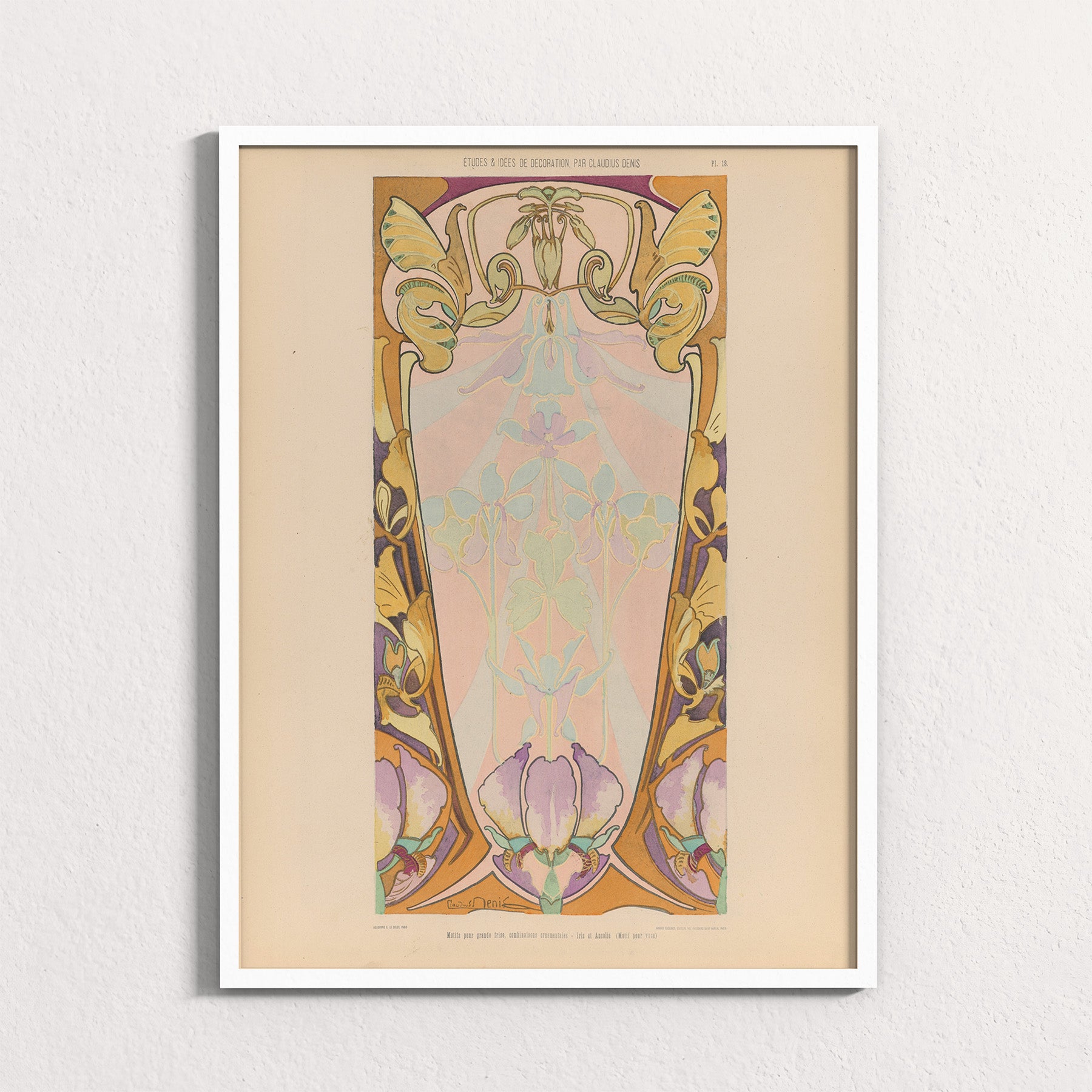 Iris Frieze