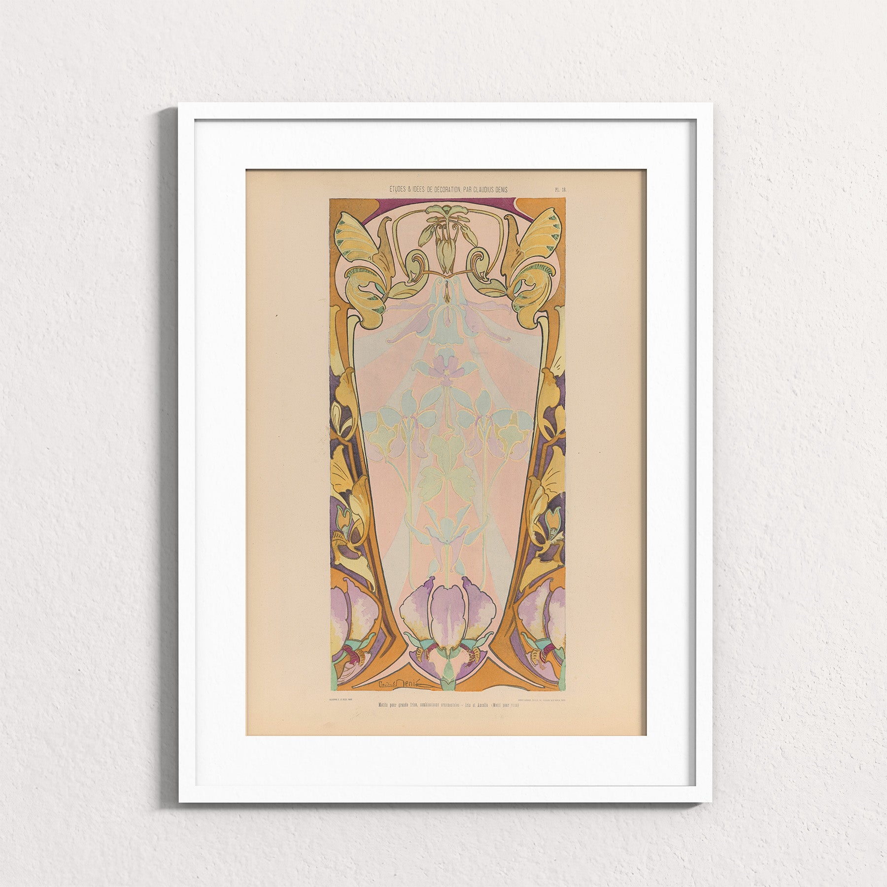 Iris Frieze