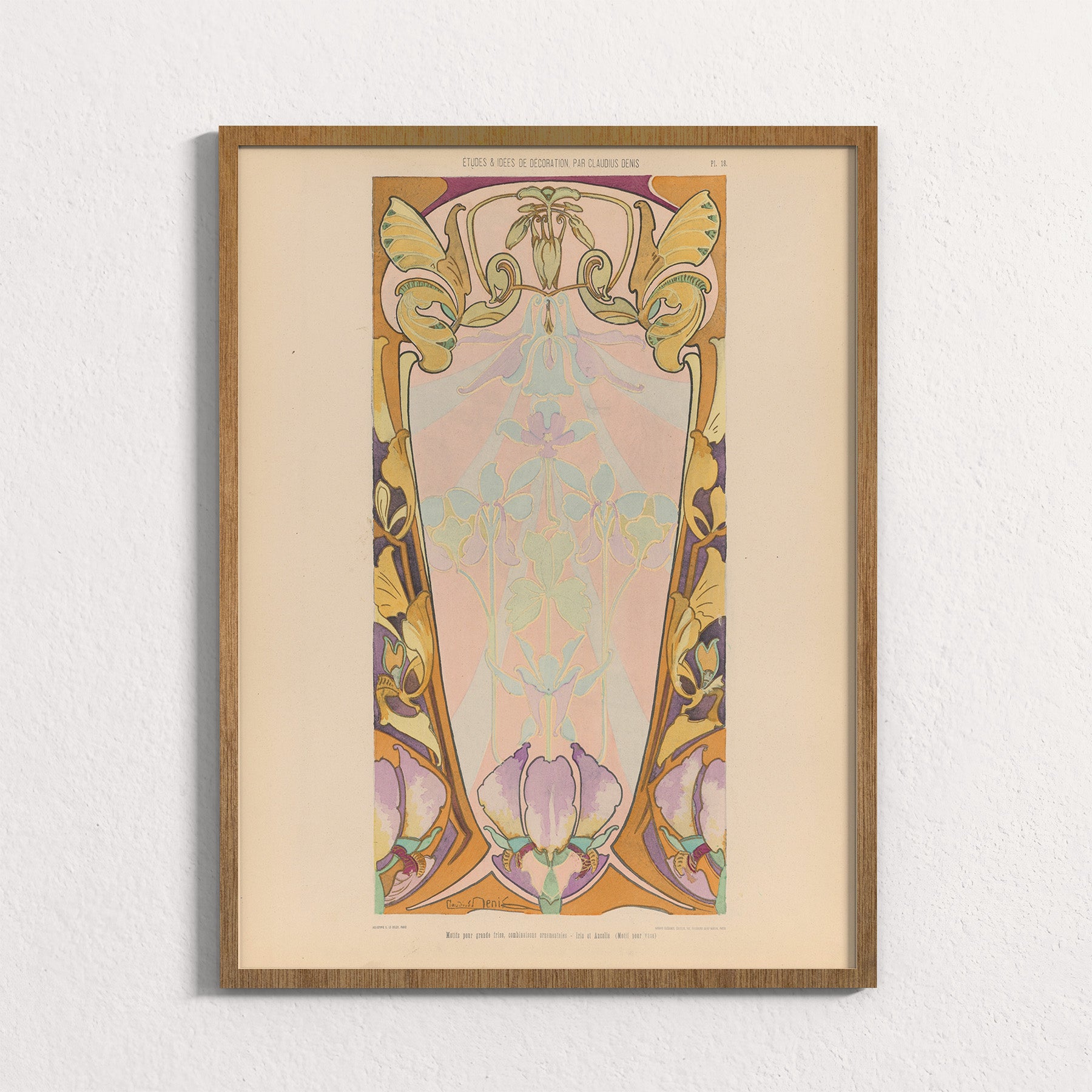 Iris Frieze