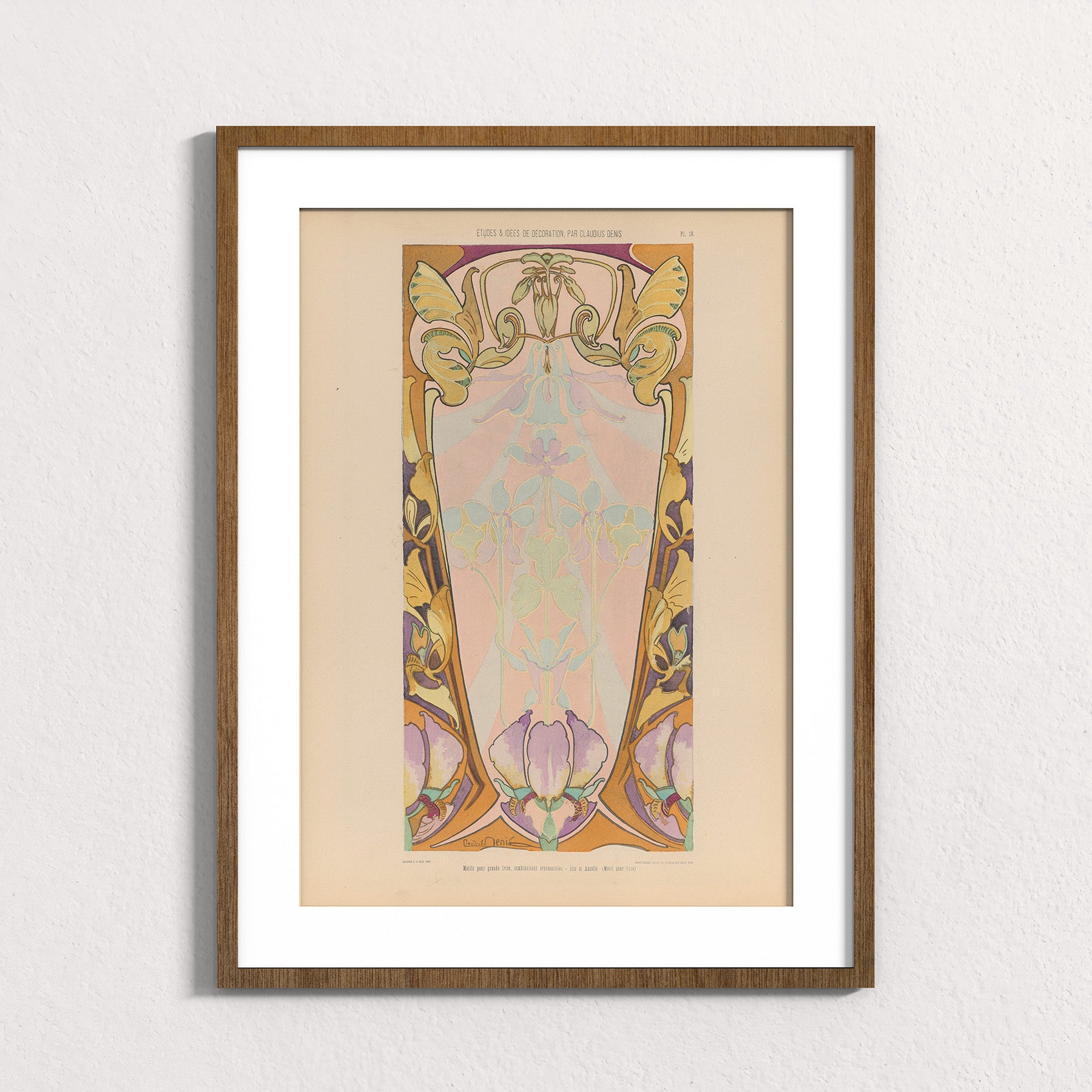 Iris Frieze