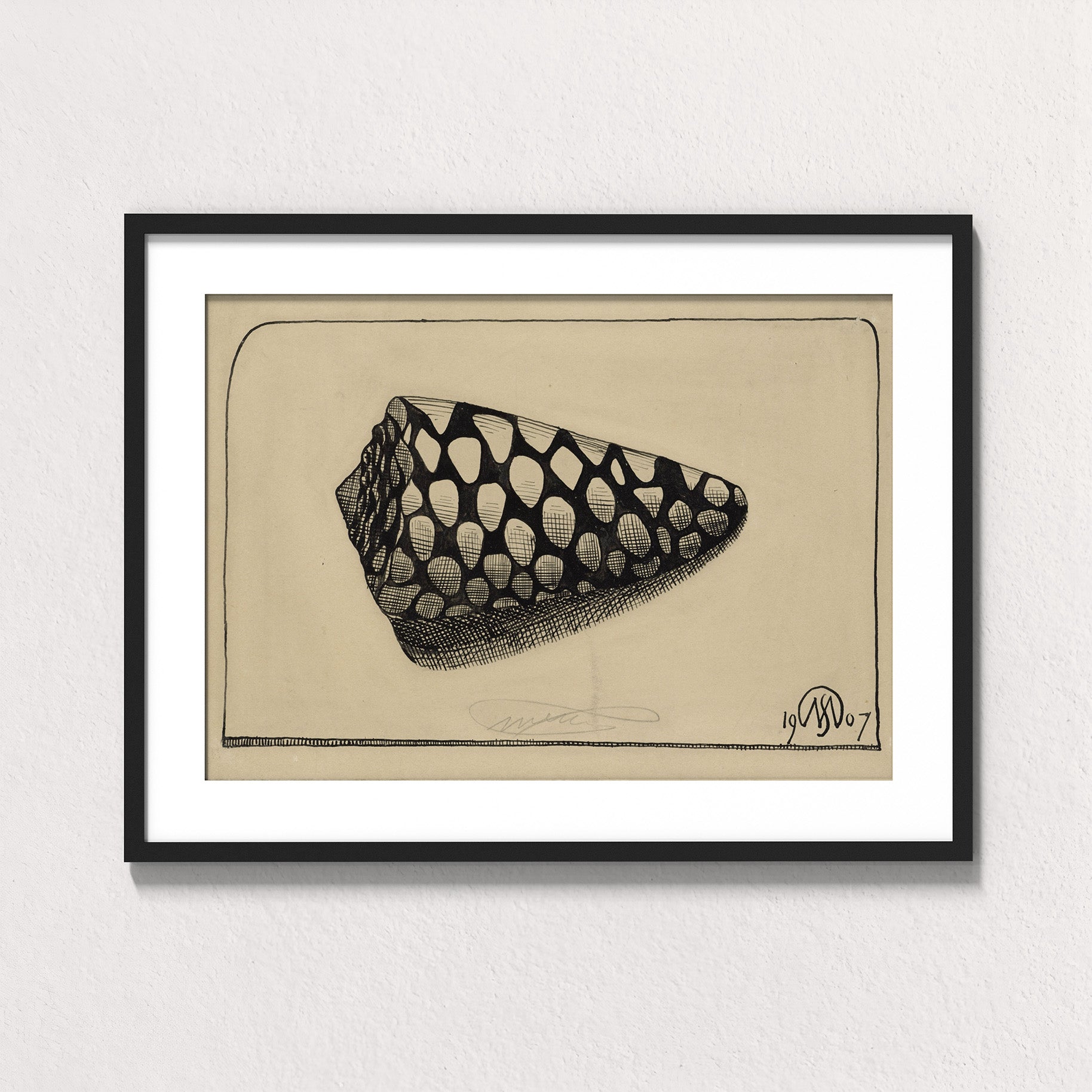Dextral Cone