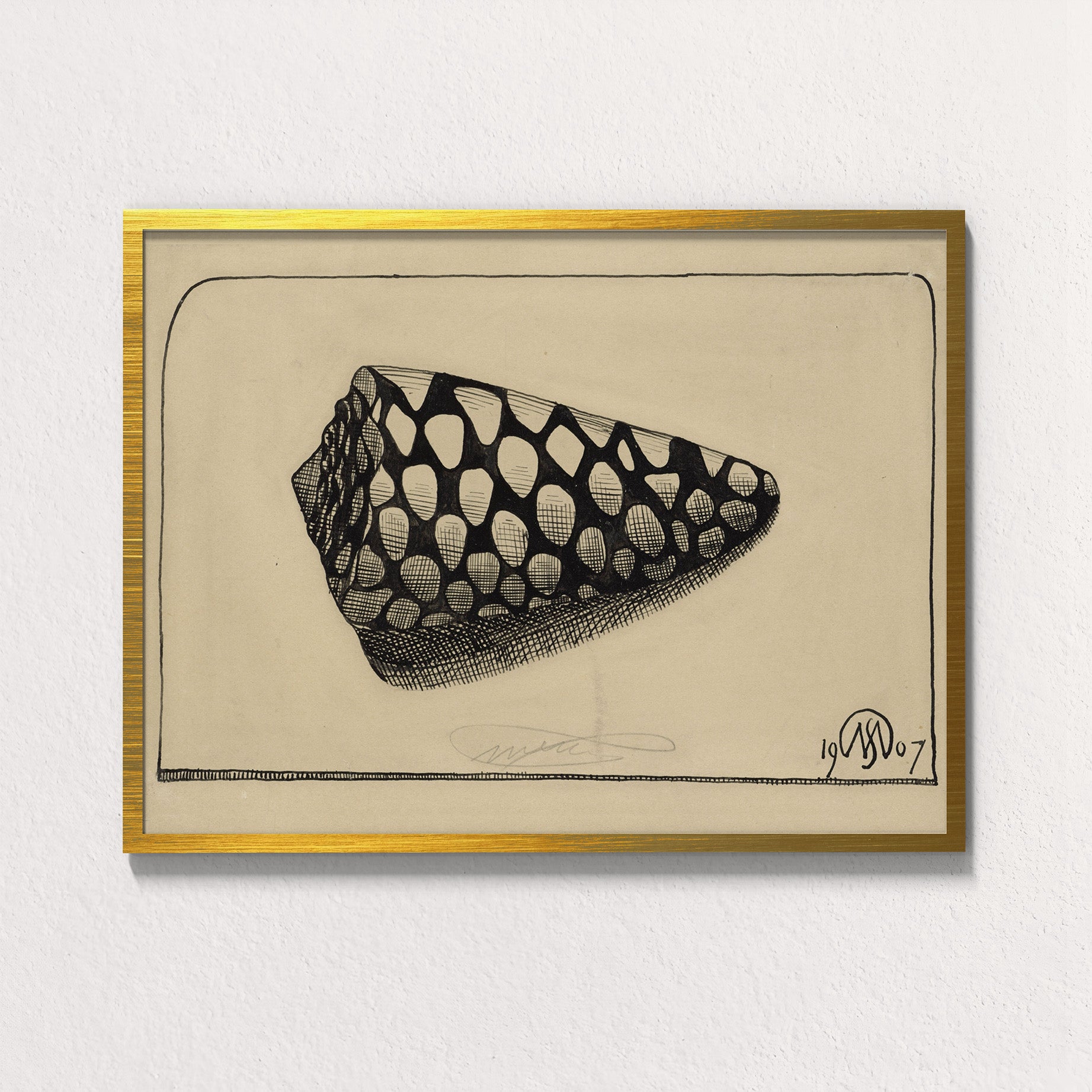 Dextral Cone