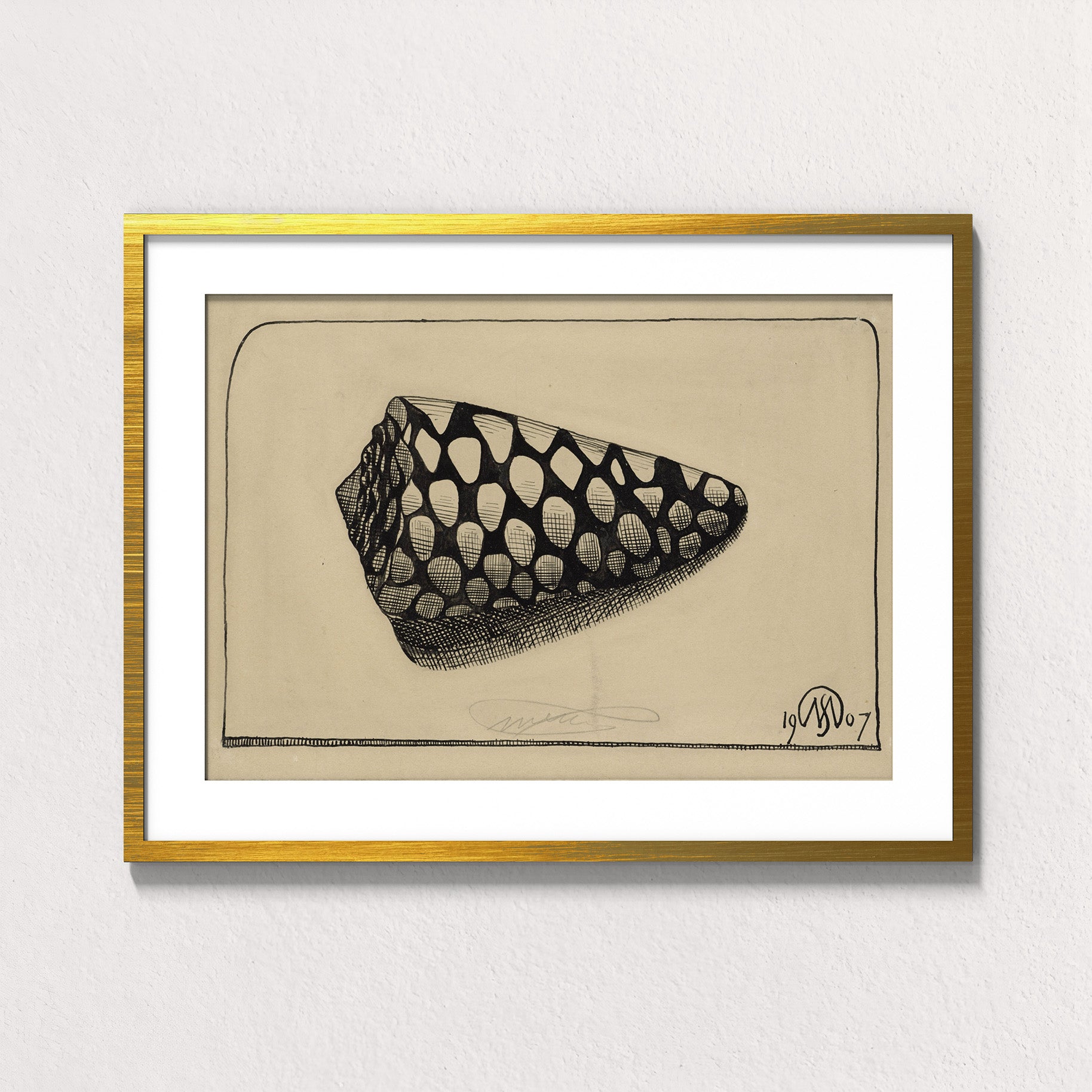 Dextral Cone