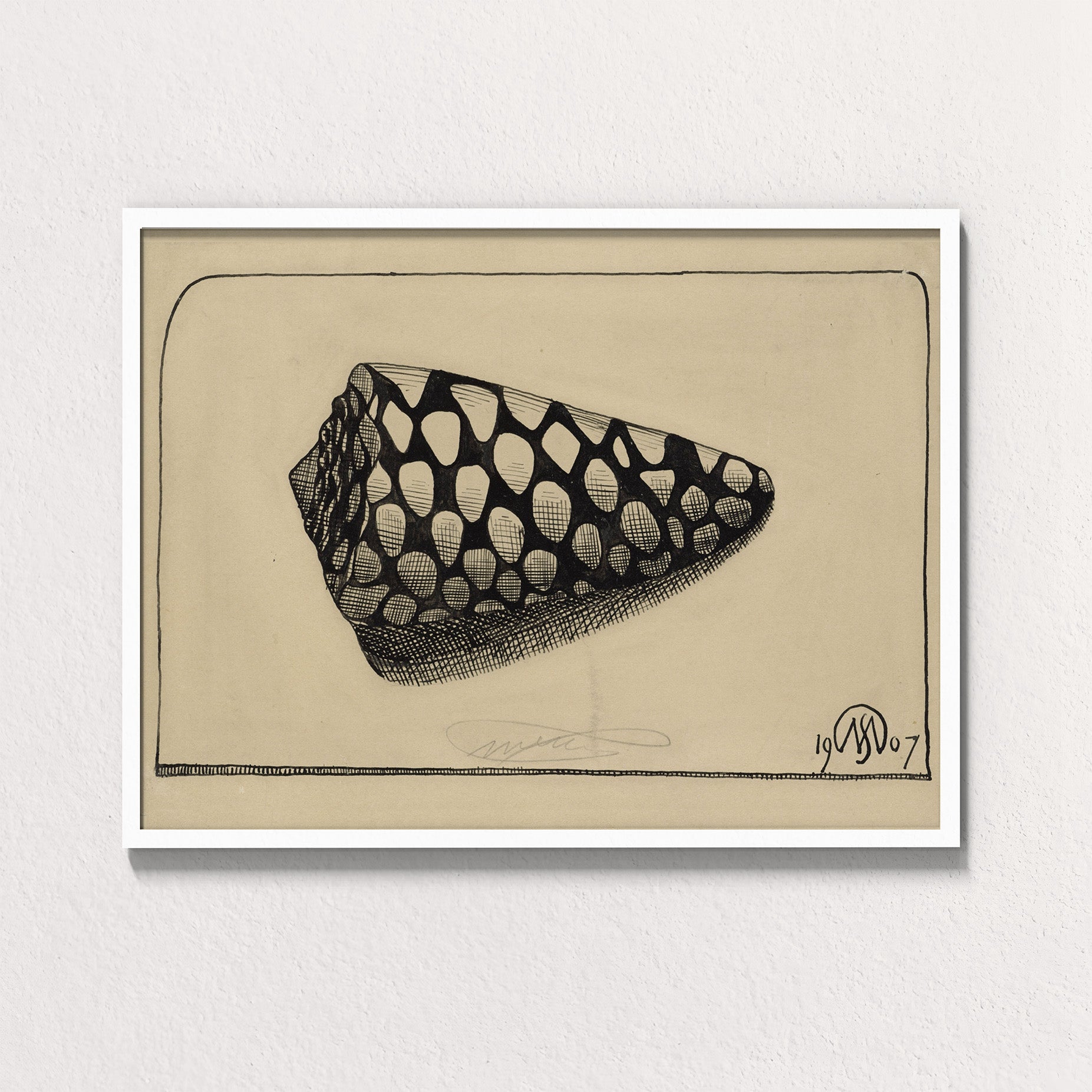 Dextral Cone