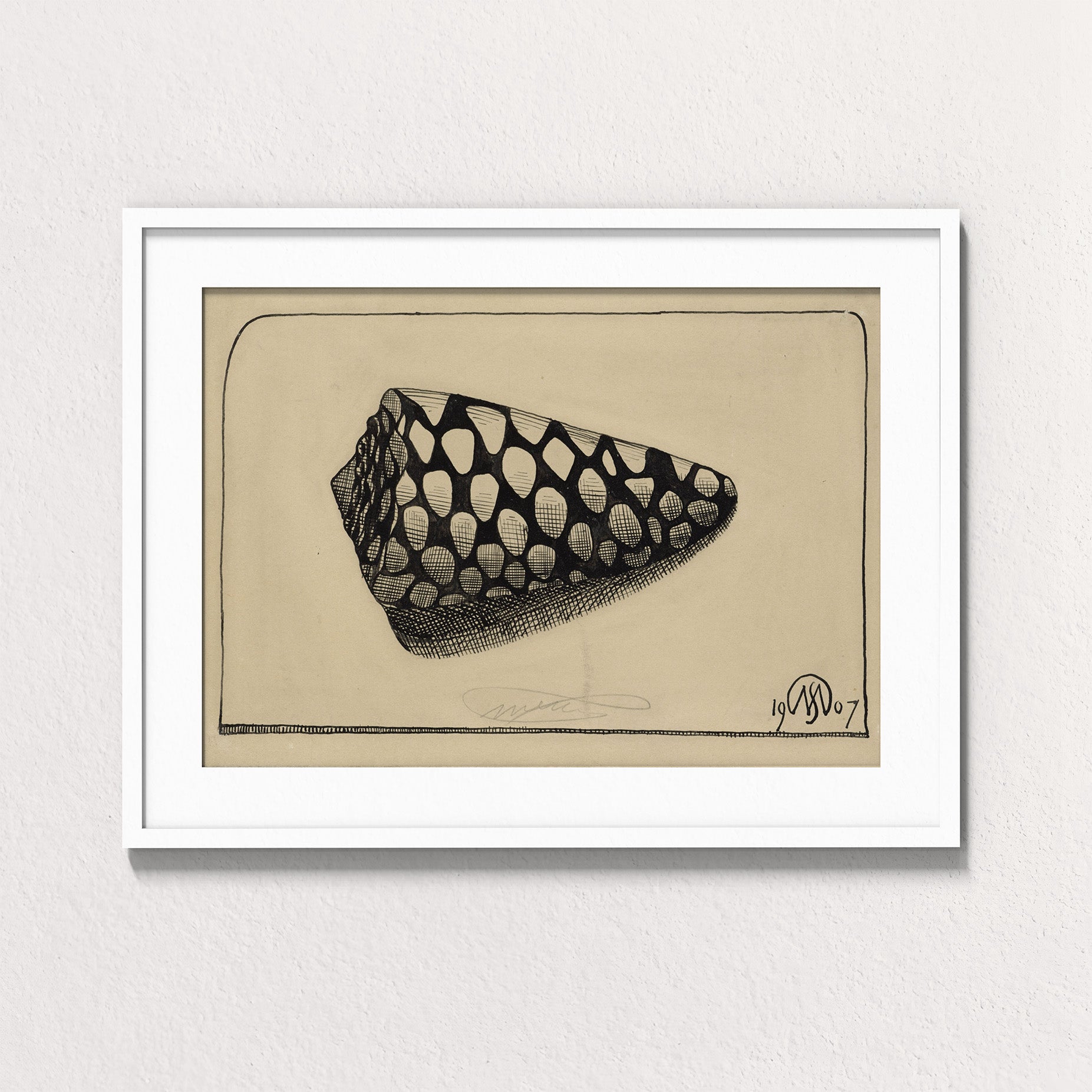 Dextral Cone