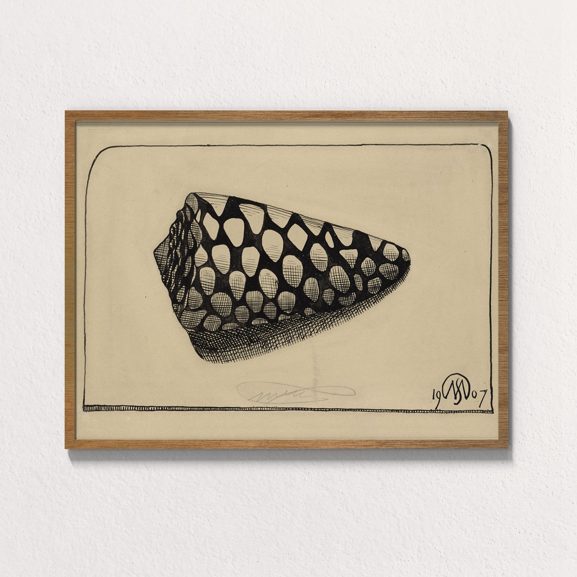 Dextral Cone