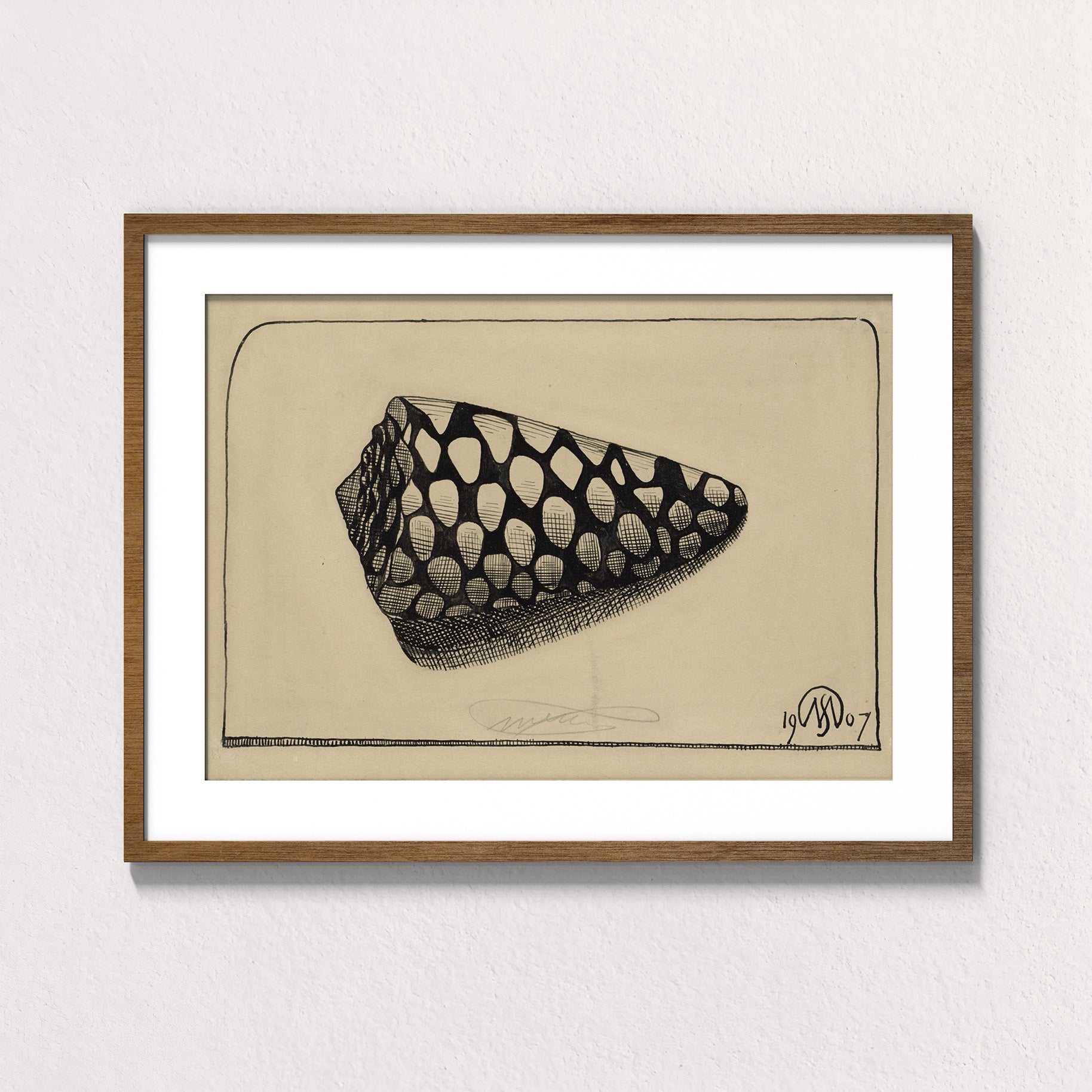 Dextral Cone