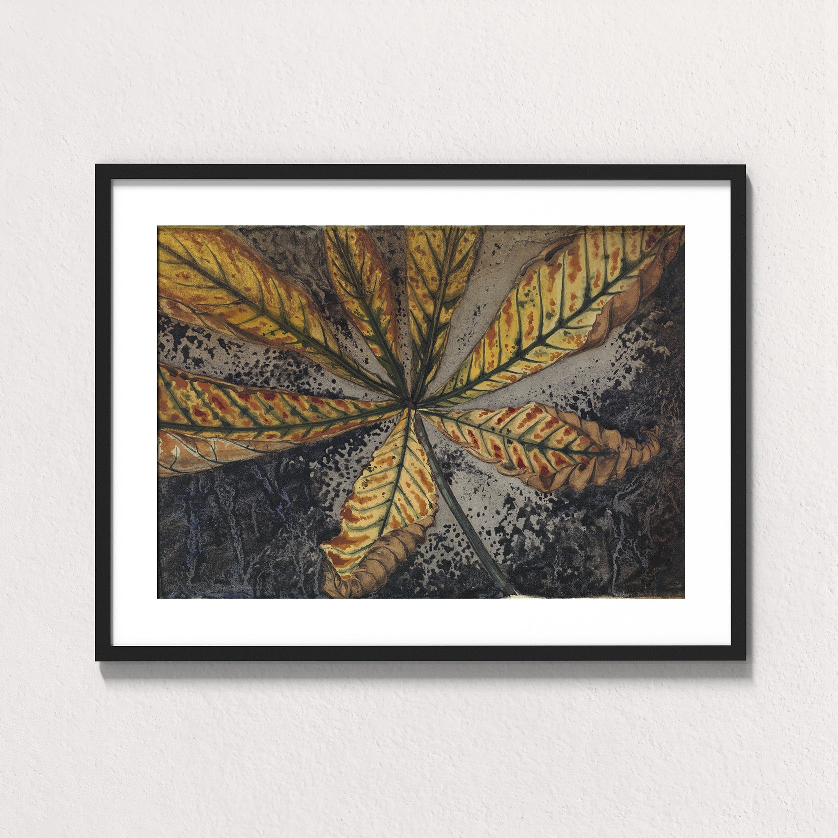 Autumn Chestnut