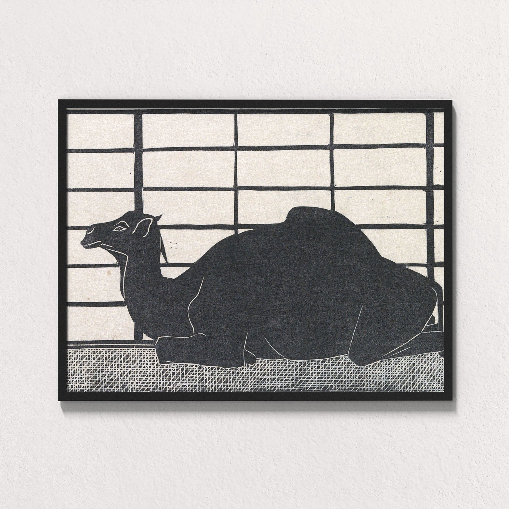 Dromedary Rest
