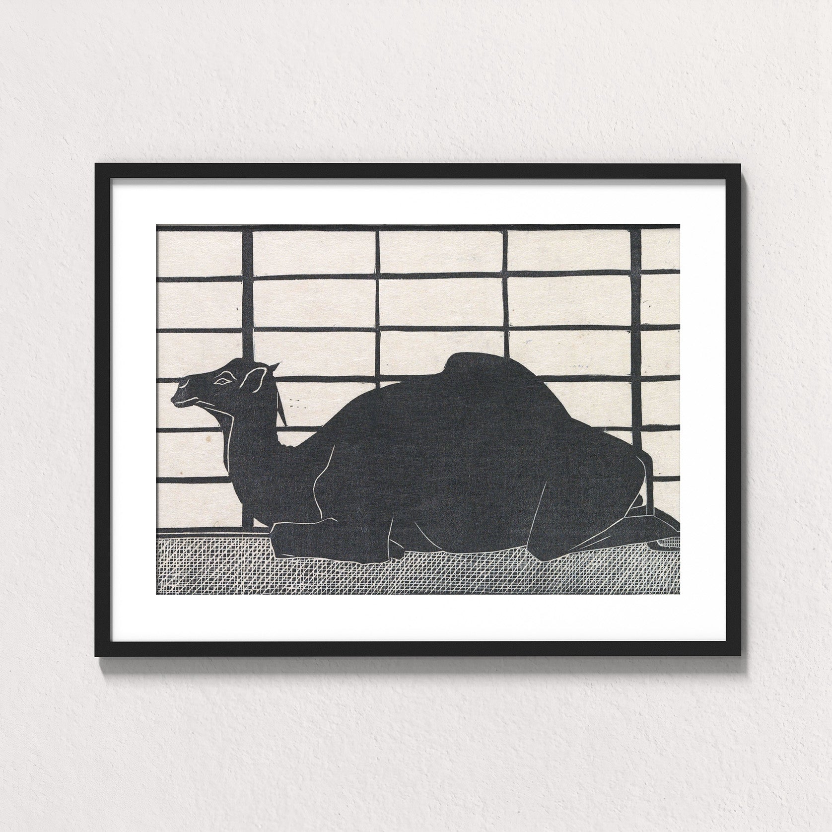 Dromedary Rest
