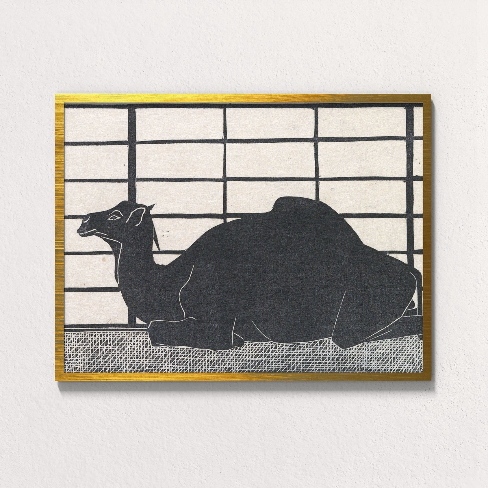 Dromedary Rest