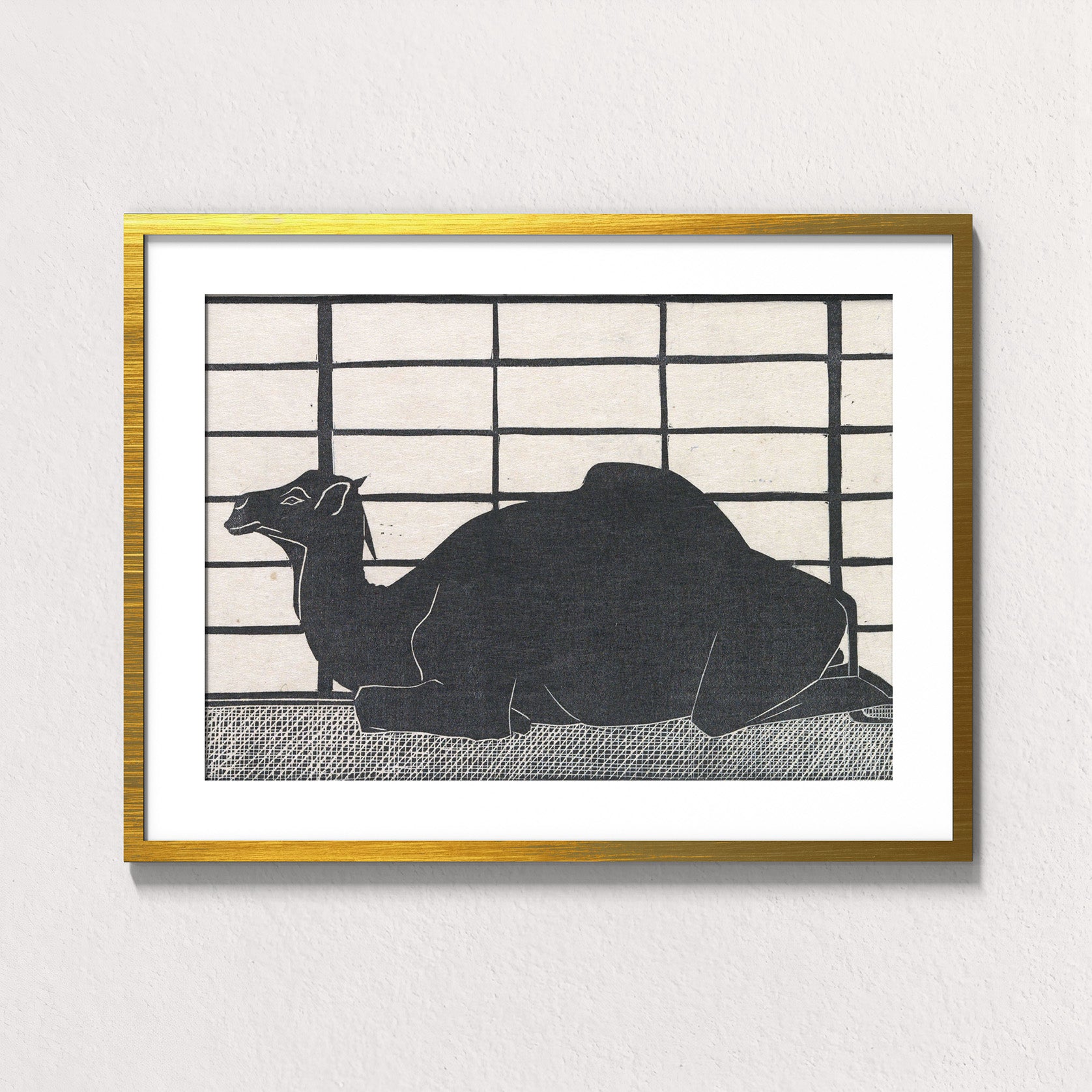 Dromedary Rest