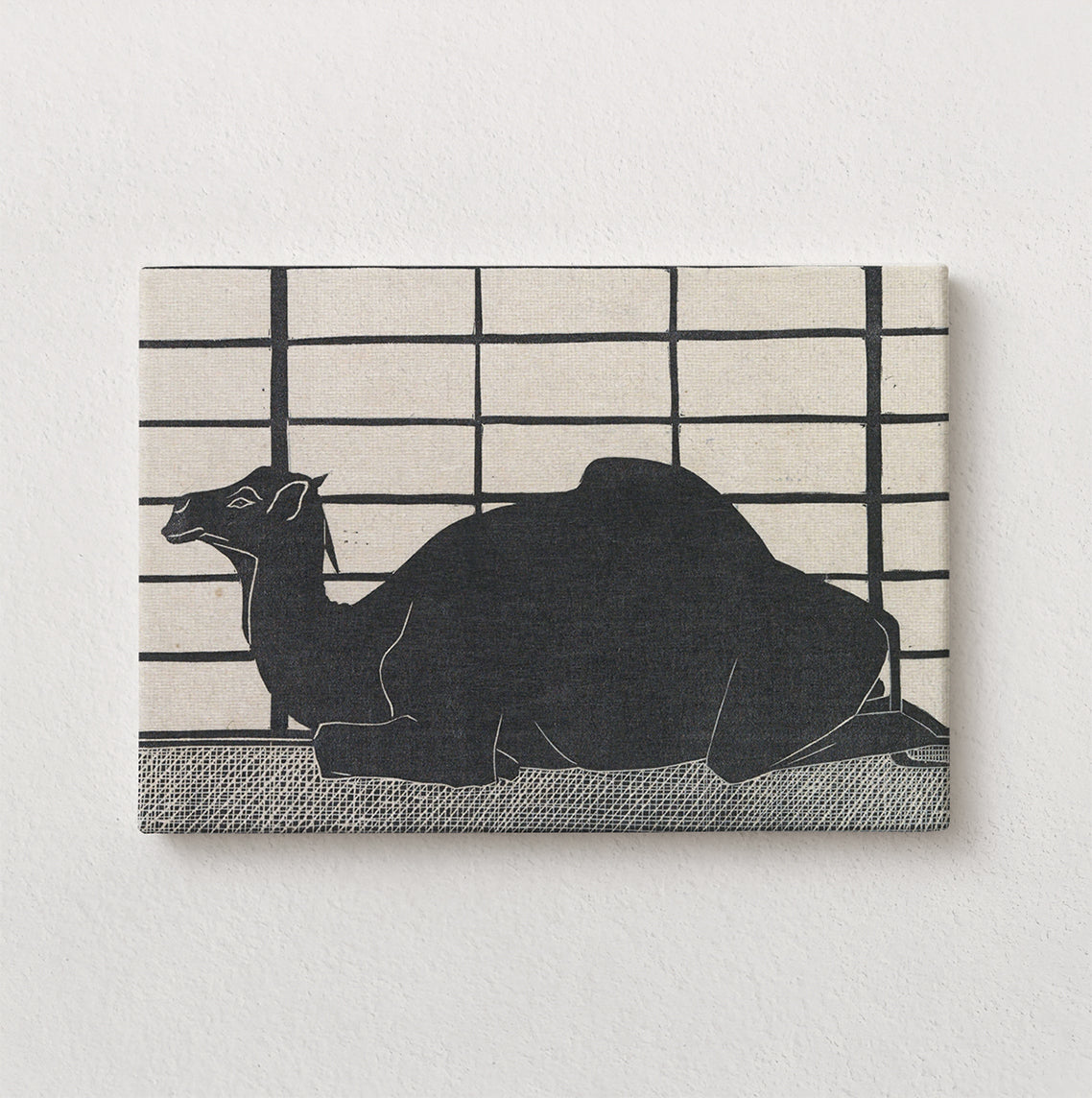 Dromedary Rest