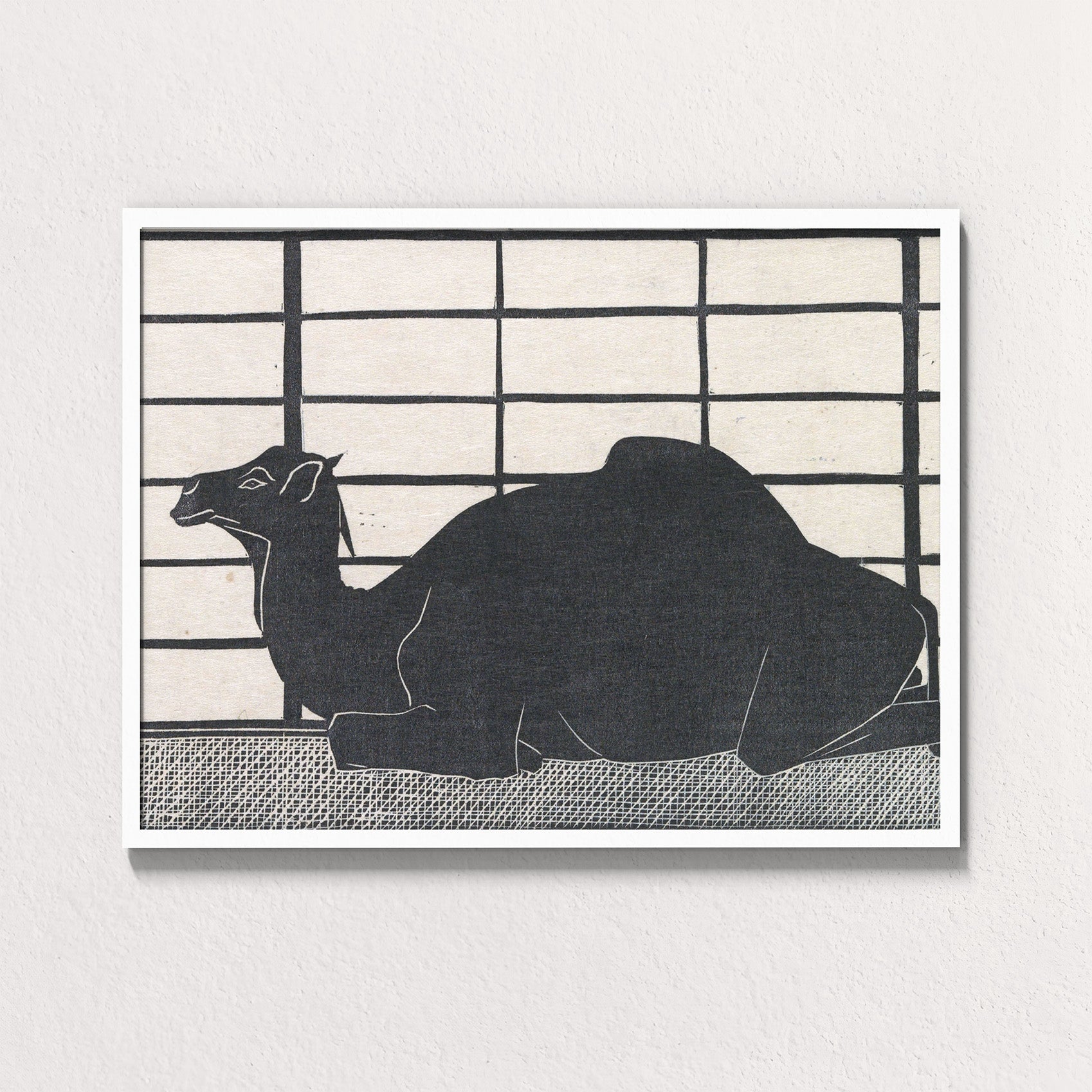 Dromedary Rest