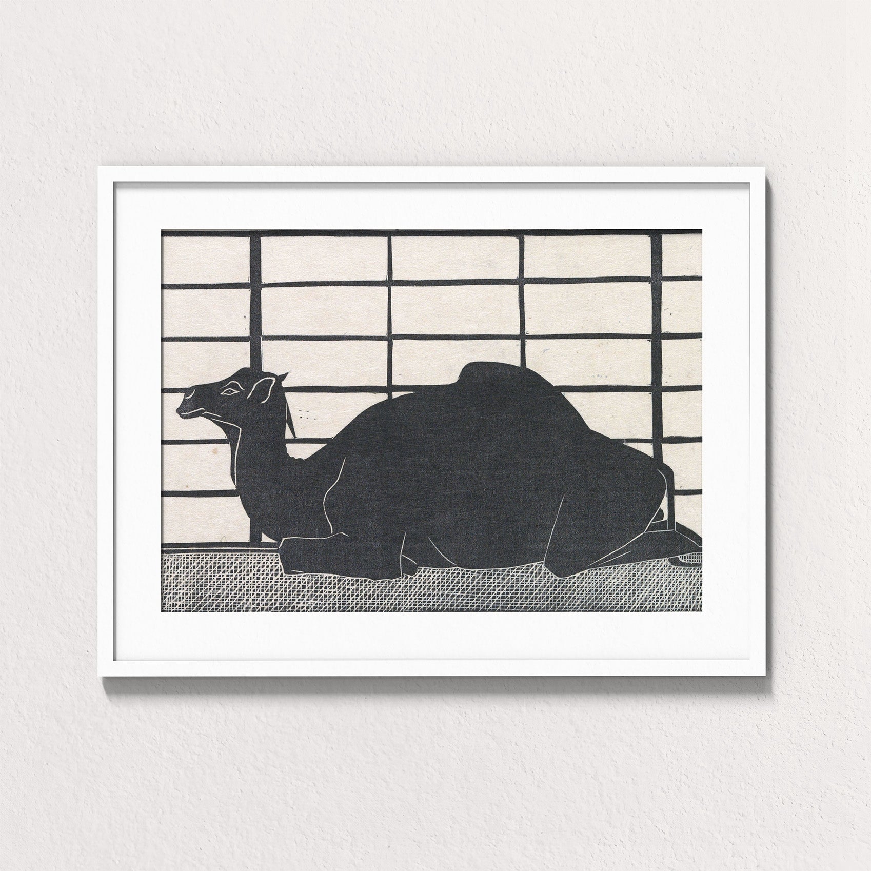 Dromedary Rest