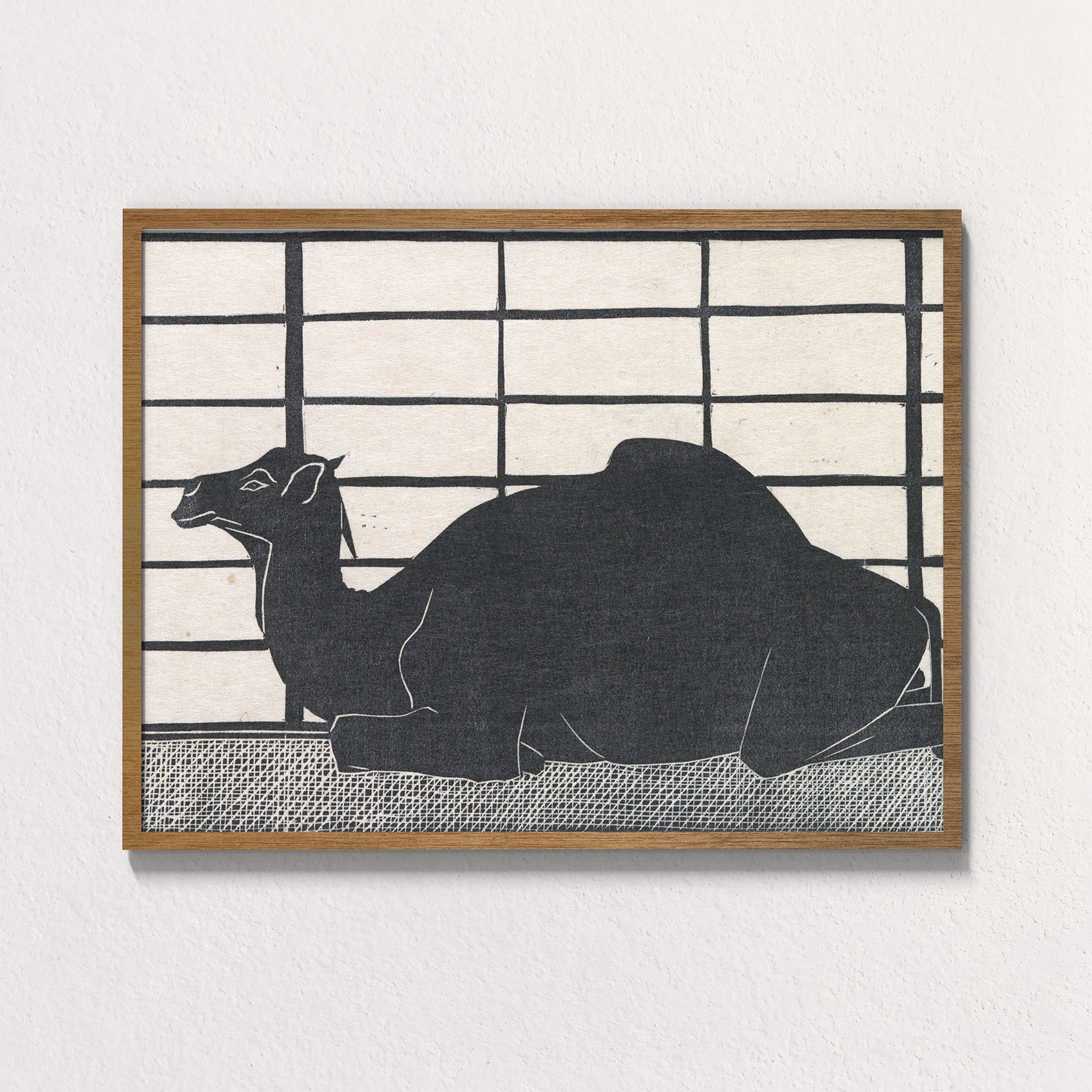 Dromedary Rest