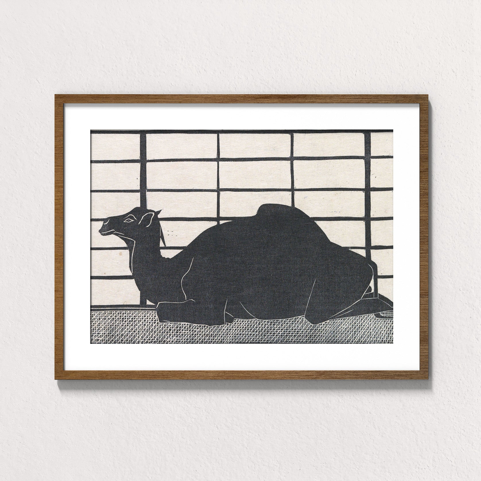 Dromedary Rest
