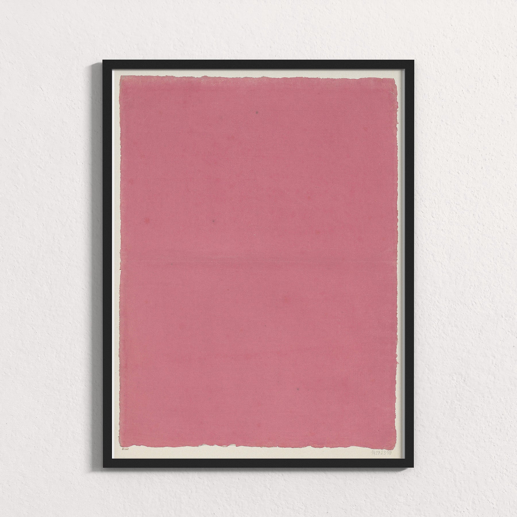 Dusty Rose Field