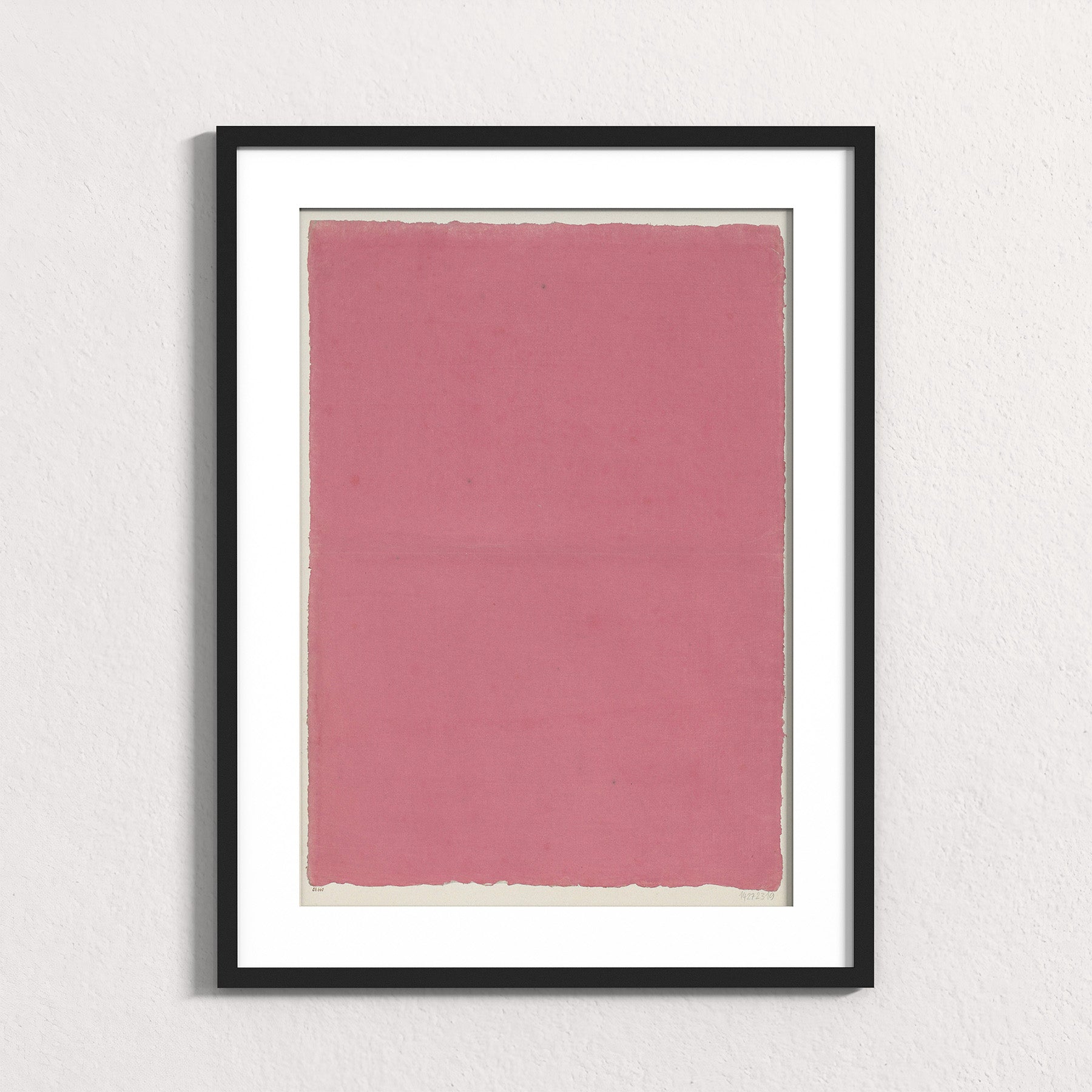 Dusty Rose Field