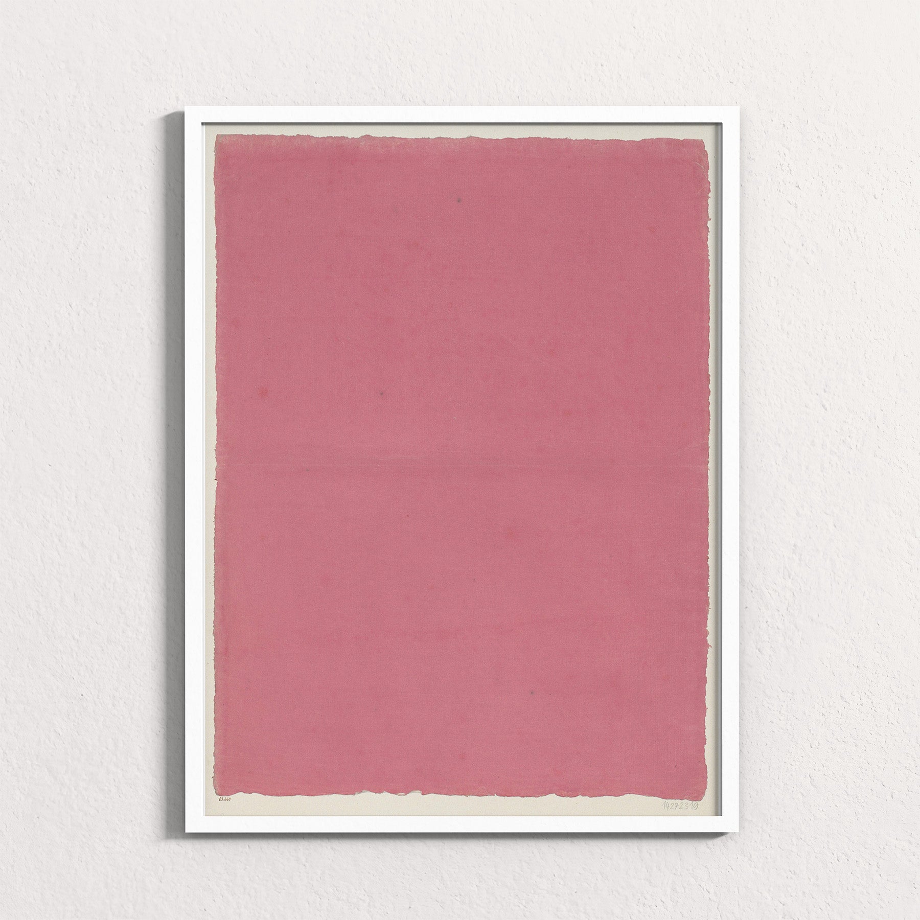 Dusty Rose Field