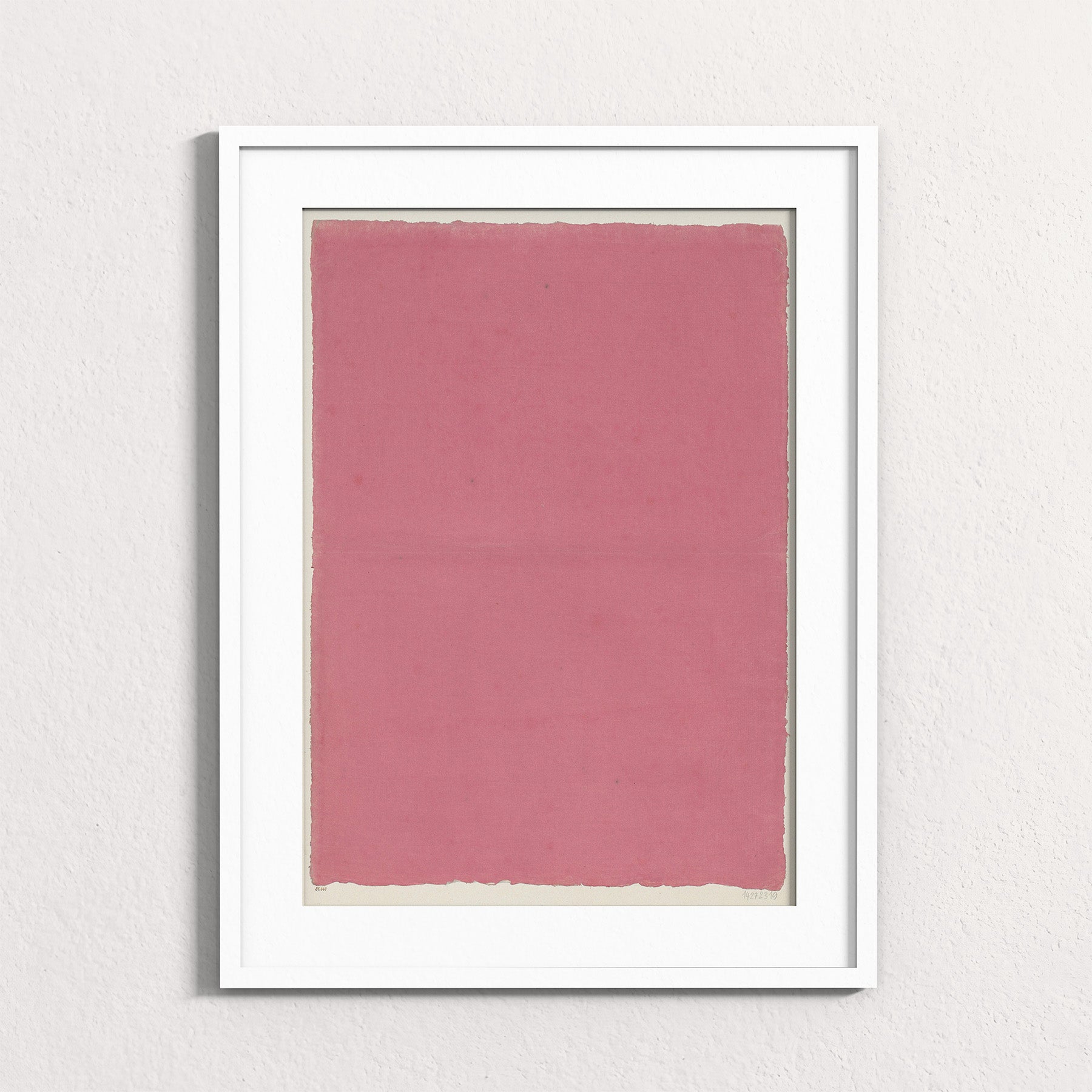 Dusty Rose Field