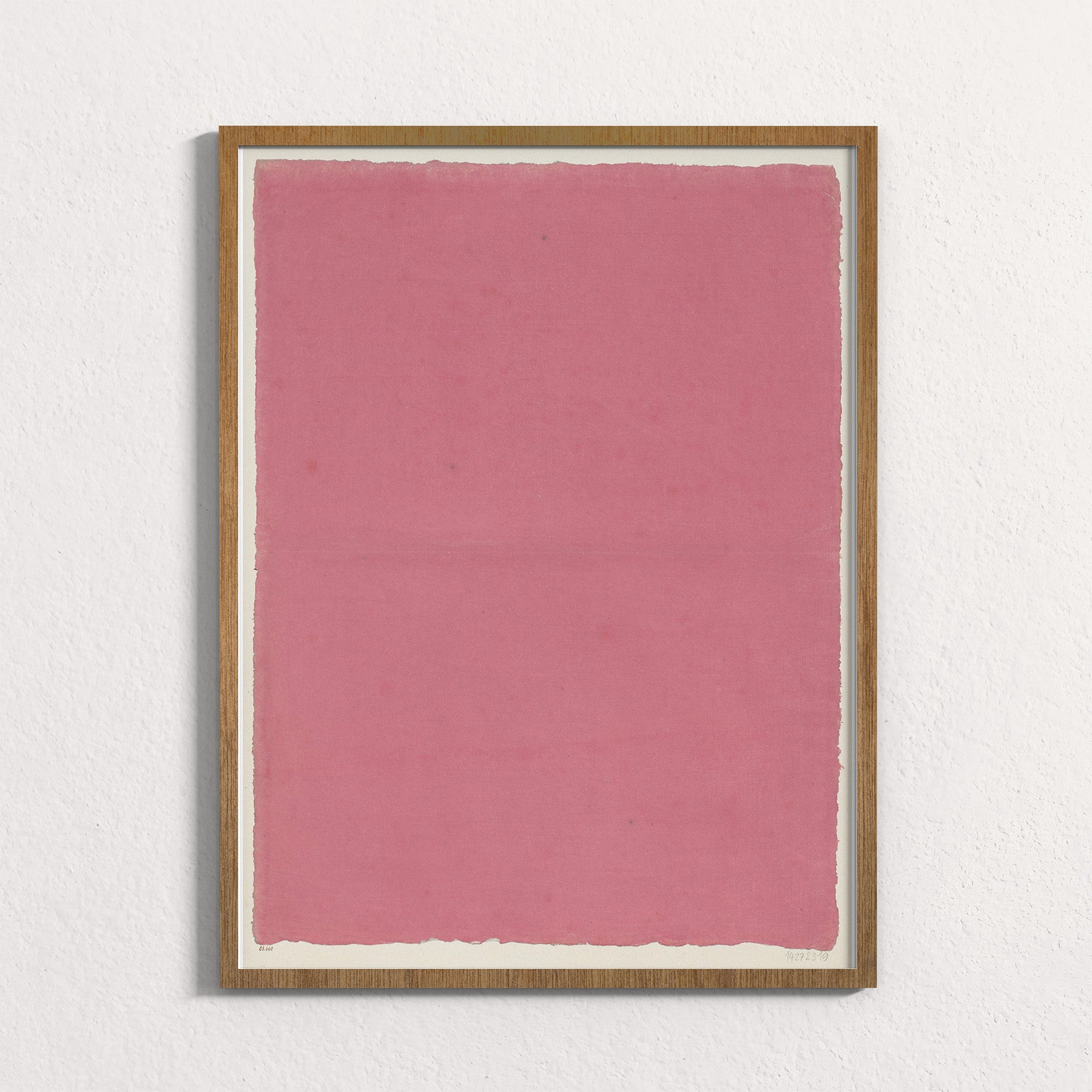 Dusty Rose Field