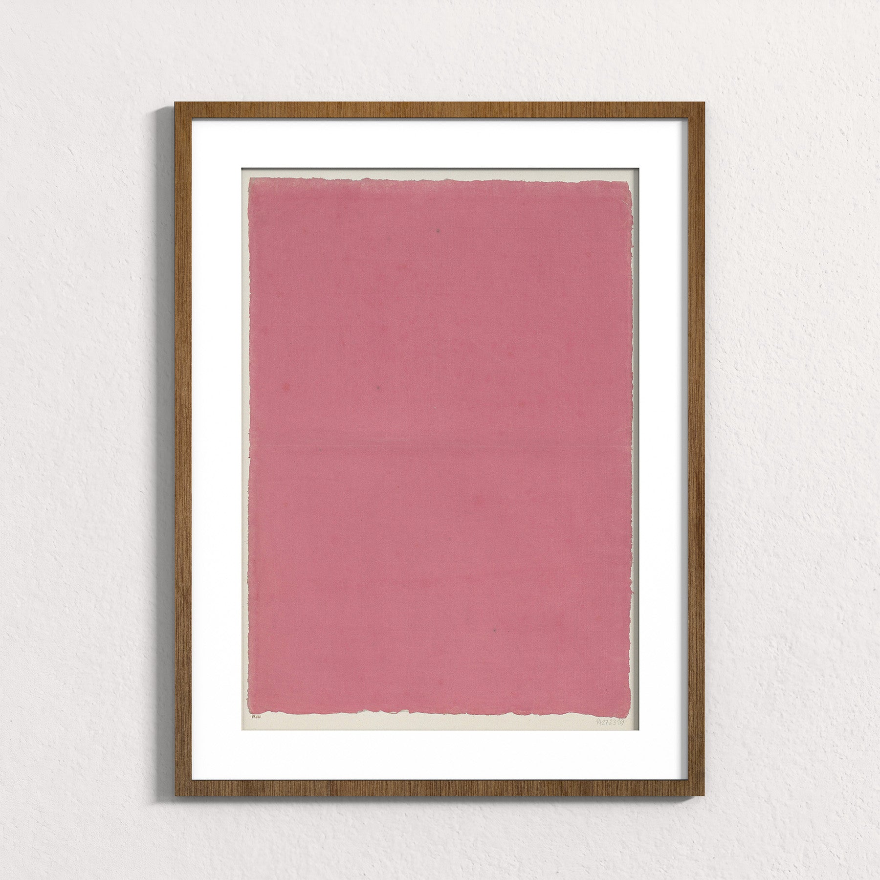 Dusty Rose Field