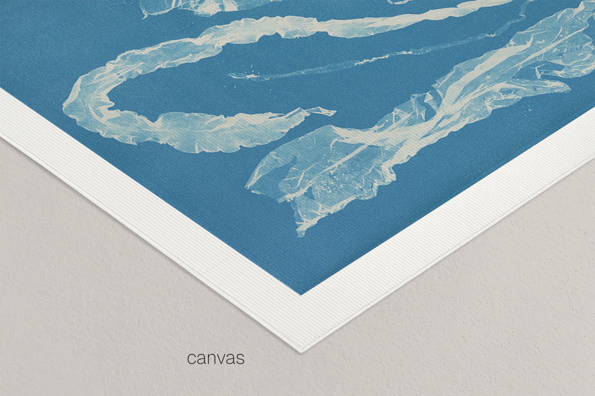 Marine Fronds - Ulvophyceae