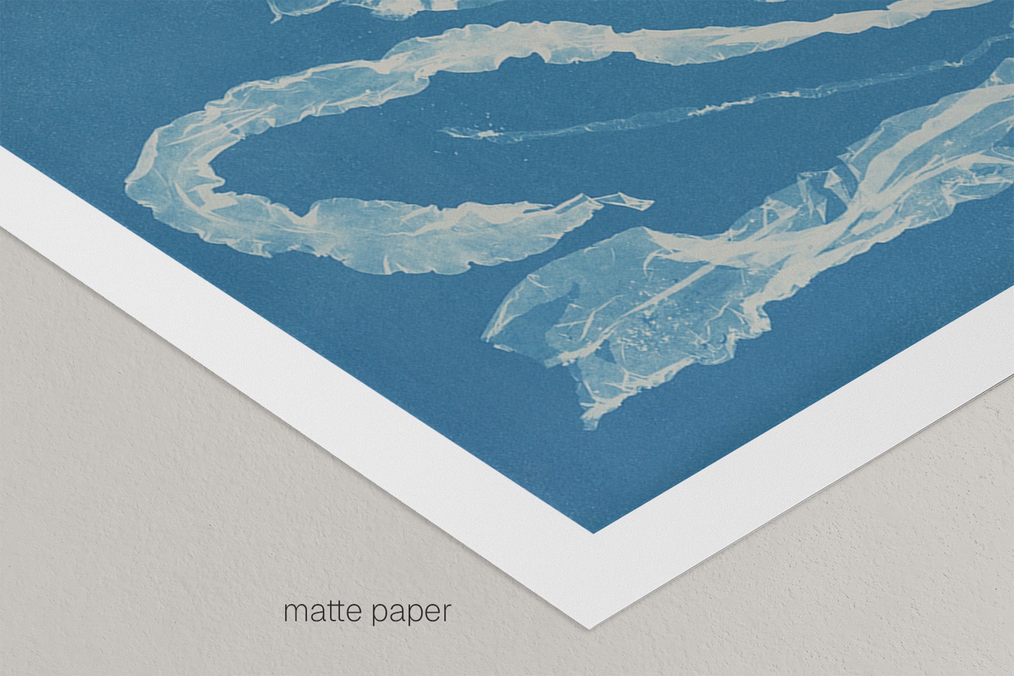 Marine Fronds - Ulvophyceae