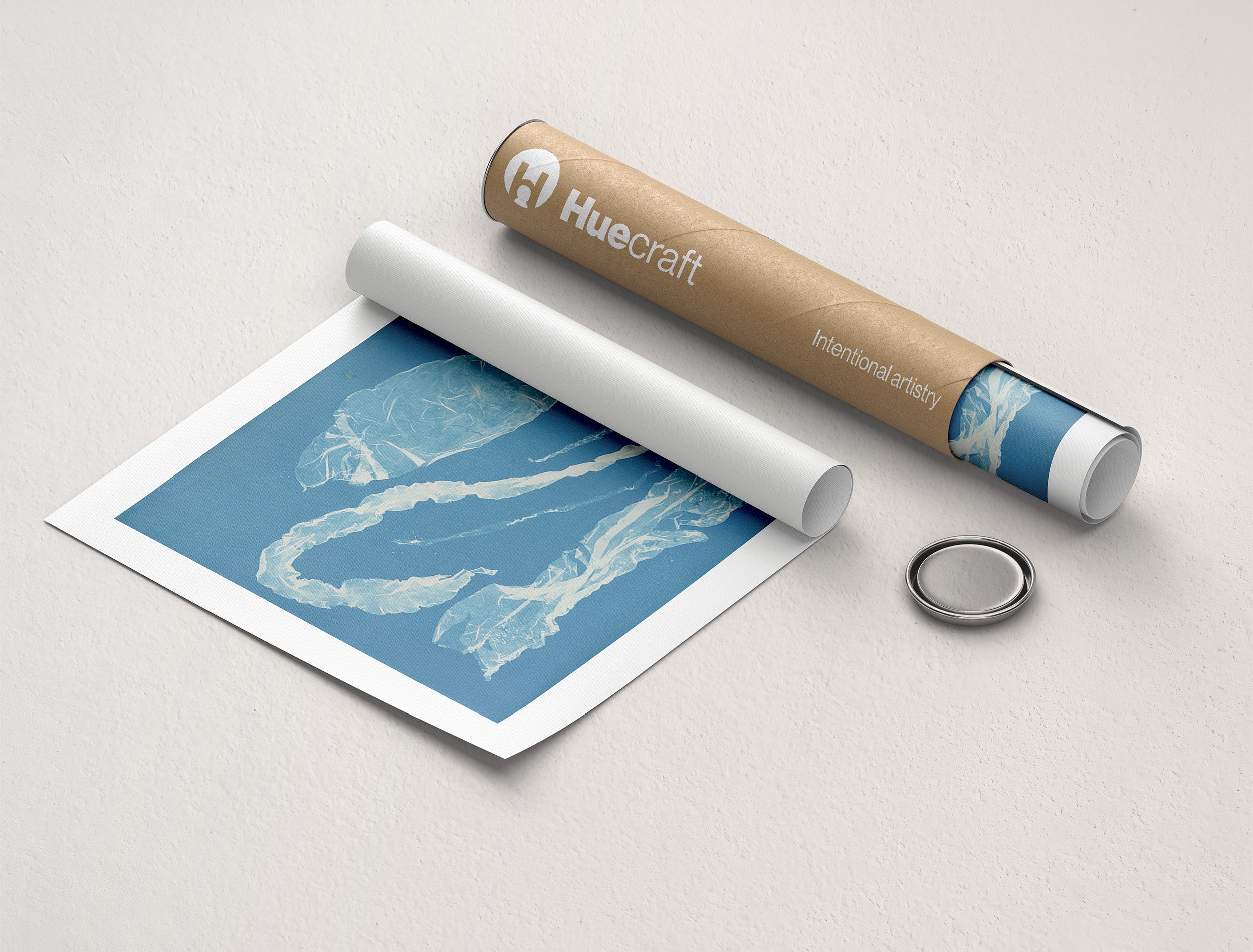 Marine Fronds - Ulvophyceae